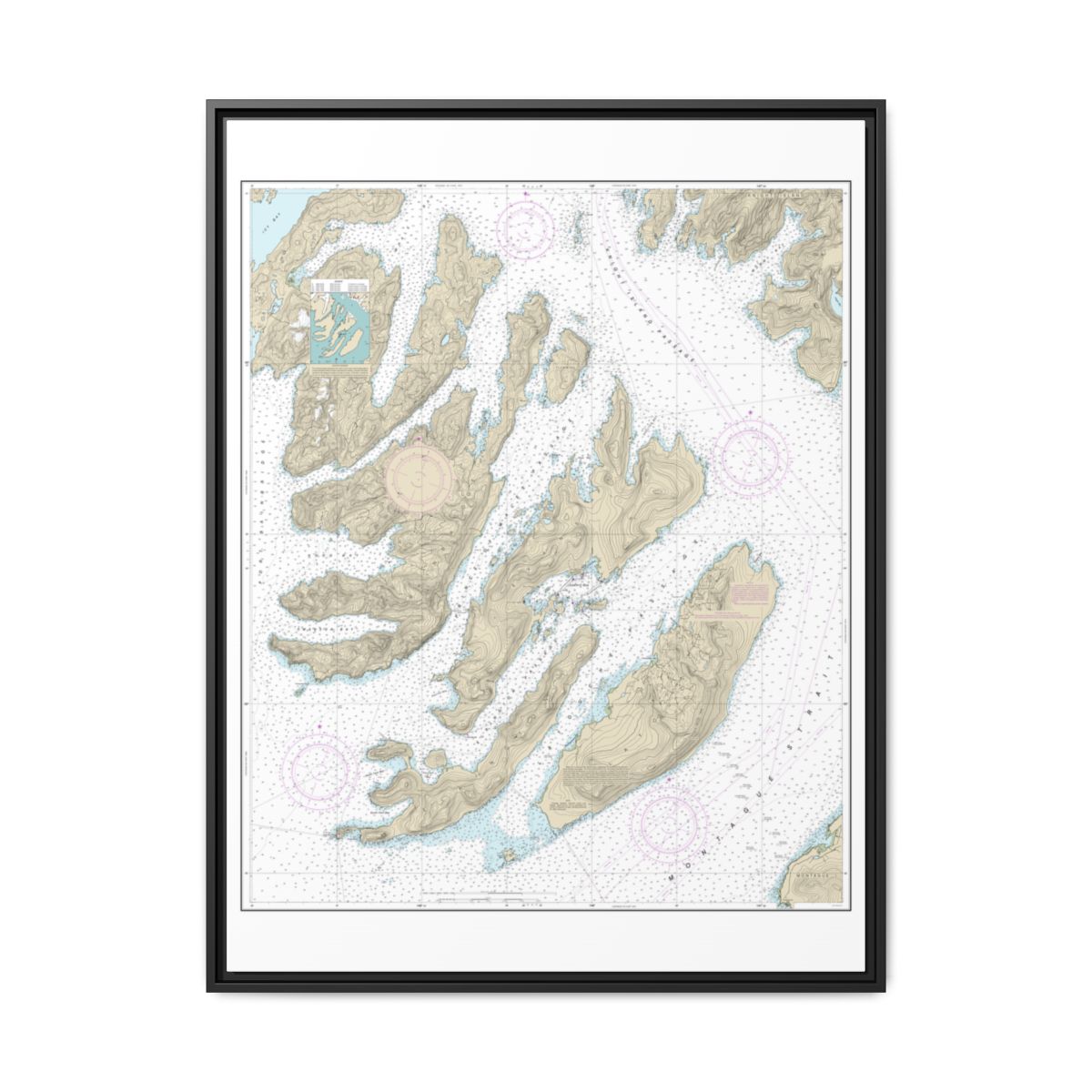 Chart 16702 Latouche Passage to Whale Bay - NOAA Nautical Chart Floating Frame Canvas | 24" x 32" | 30" x 40" - Black front