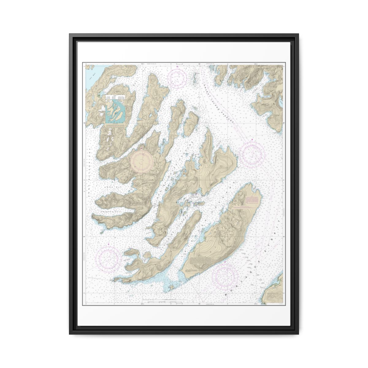 Chart 16702 Latouche Passage to Whale Bay - NOAA Nautical Chart Floating Frame Canvas | 24" x 32" | 30" x 40" - Black front