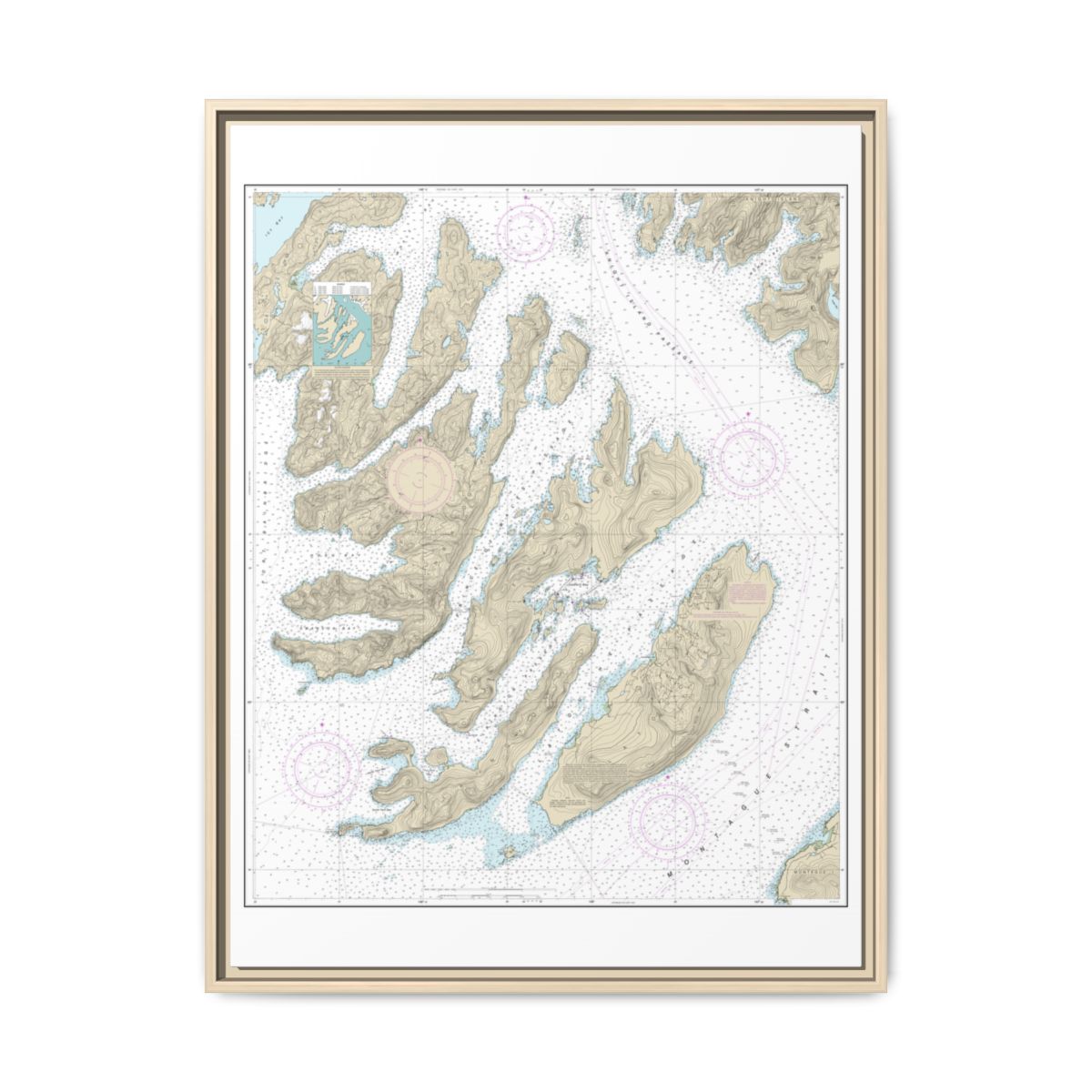 Chart 16702 Latouche Passage to Whale Bay - NOAA Nautical Chart Floating Frame Canvas | 24" x 32" | 30" x 40" - Natural front