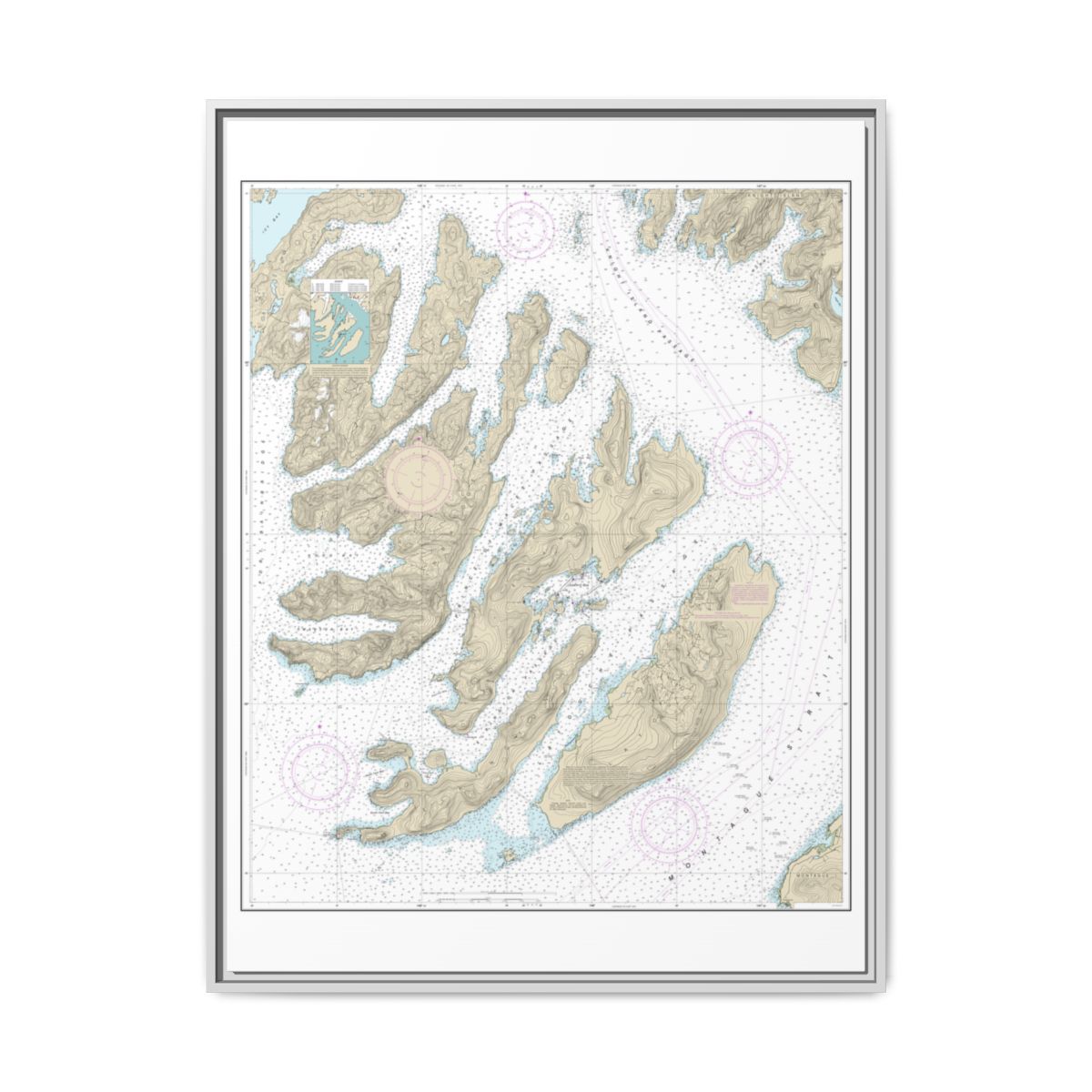 Chart 16702 Latouche Passage to Whale Bay - NOAA Nautical Chart Floating Frame Canvas | 24" x 32" | 30" x 40" - White front