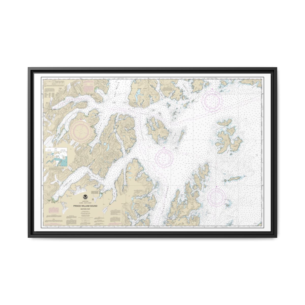 Chart 16705 Prince William Sound-western part - NOAA Nautical Chart Floating Frame Canvas | 30" x 20" | 36" x 24" | 48" x 32" - Black front