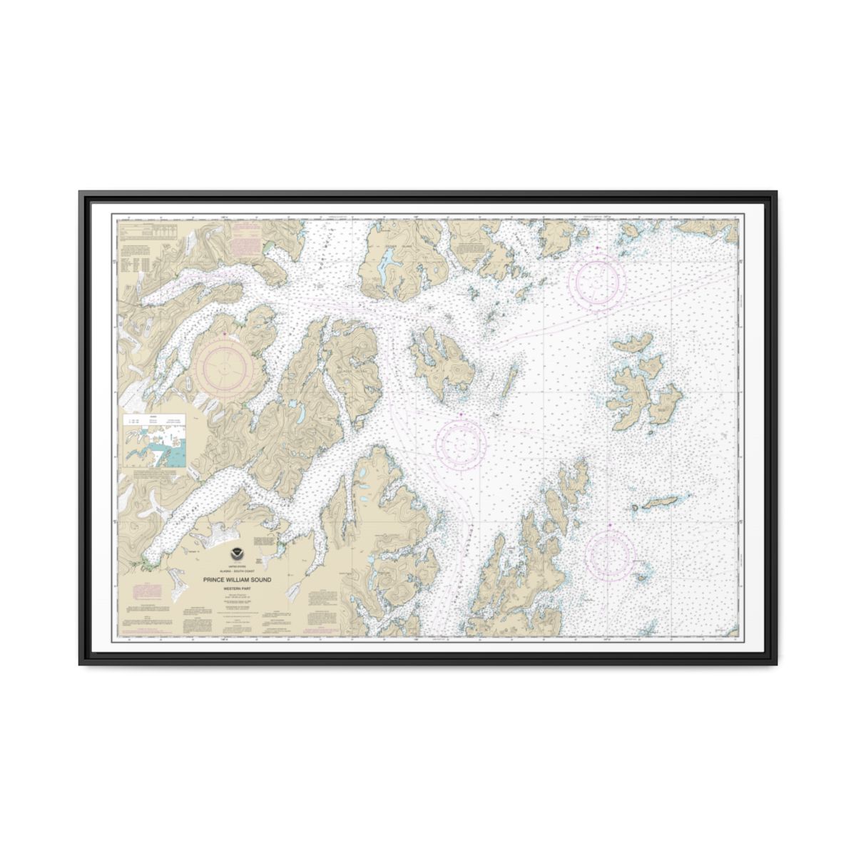 Chart 16705 Prince William Sound-western part - NOAA Nautical Chart Floating Frame Canvas | 30" x 20" | 36" x 24" | 48" x 32" - Black front