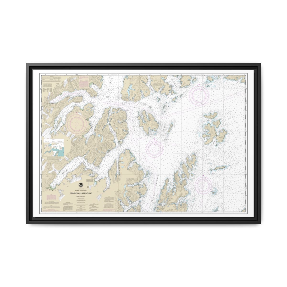 Chart 16705 Prince William Sound-western part - NOAA Nautical Chart Floating Frame Canvas | 30" x 20" | 36" x 24" | 48" x 32" - Black front