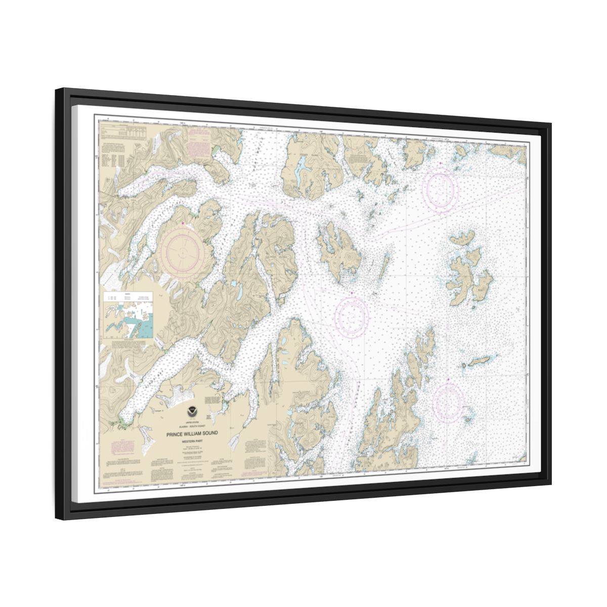 Chart 16705 Prince William Sound-western part - NOAA Nautical Chart Floating Frame Canvas | 30" x 20" | 36" x 24" | 48" x 32" - Black side