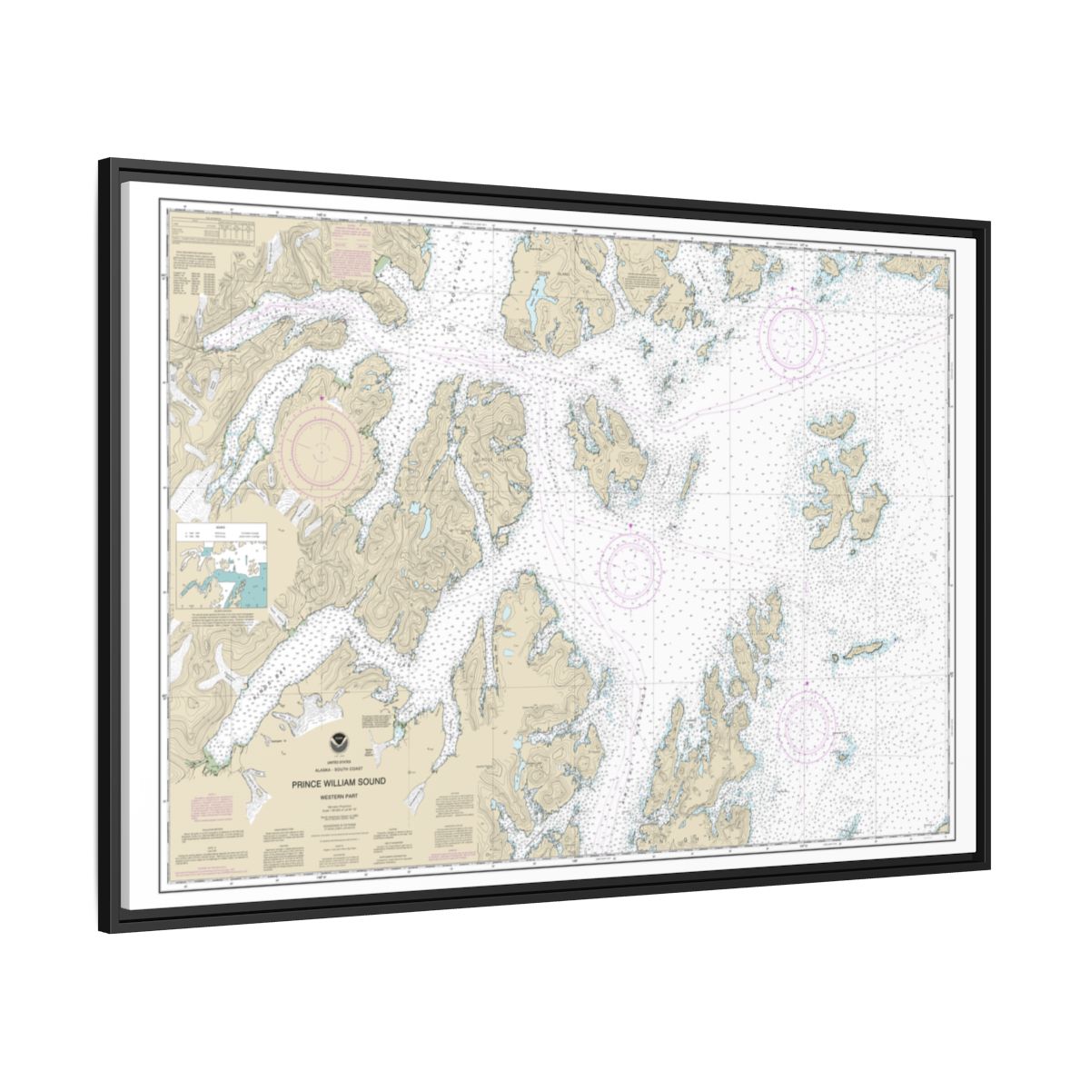 Chart 16705 Prince William Sound-western part - NOAA Nautical Chart Floating Frame Canvas | 30" x 20" | 36" x 24" | 48" x 32" - Black side