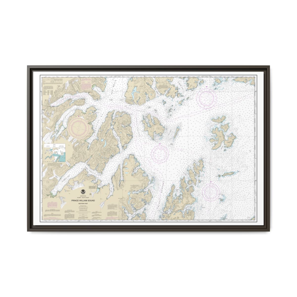 Chart 16705 Prince William Sound-western part - NOAA Nautical Chart Floating Frame Canvas | 30" x 20" | 36" x 24" | 48" x 32" - Espresso front
