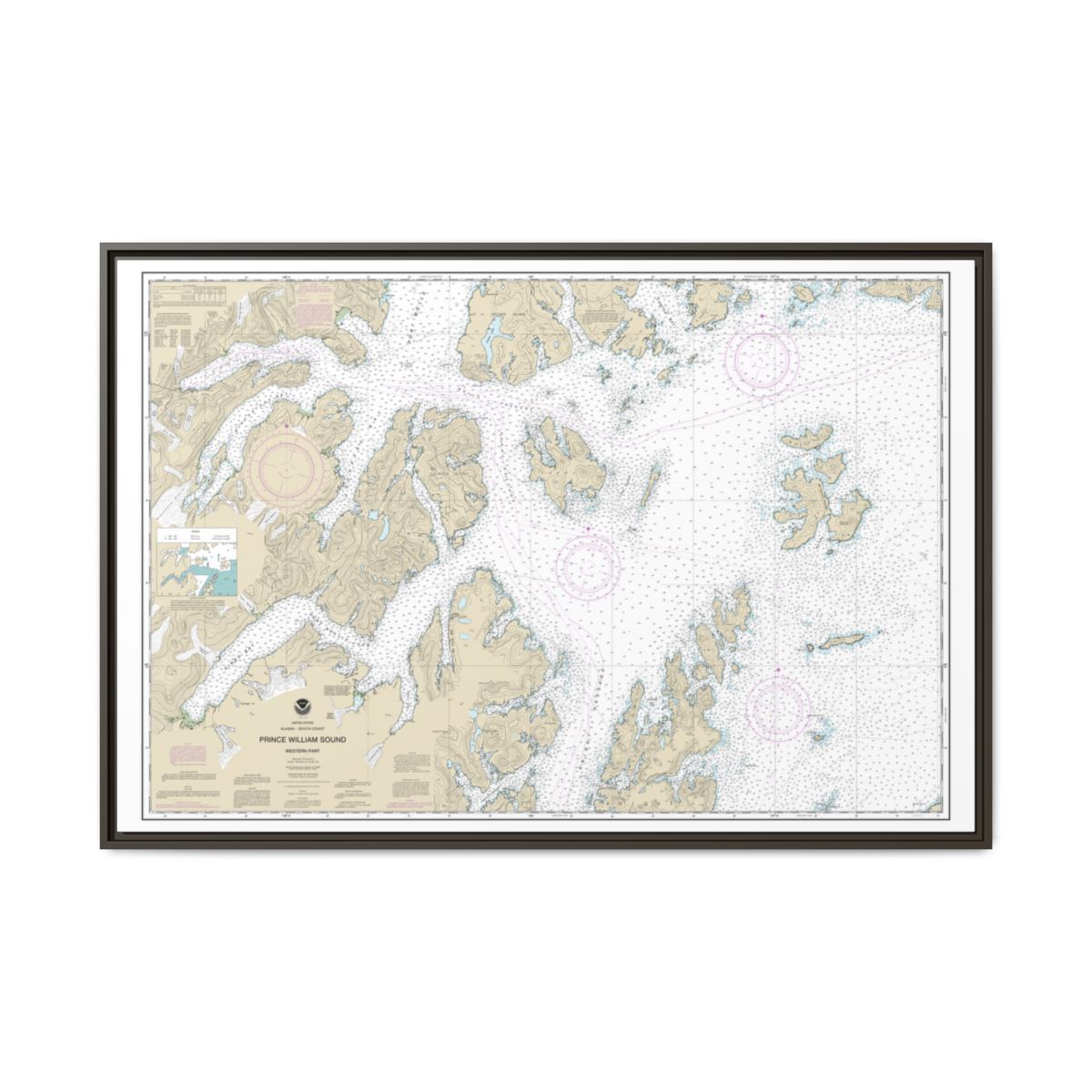 Chart 16705 Prince William Sound-western part - NOAA Nautical Chart Floating Frame Canvas | 30" x 20" | 36" x 24" | 48" x 32" - Espresso front
