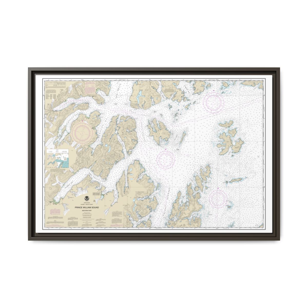 Chart 16705 Prince William Sound-western part - NOAA Nautical Chart Floating Frame Canvas | 30" x 20" | 36" x 24" | 48" x 32" - Espresso front