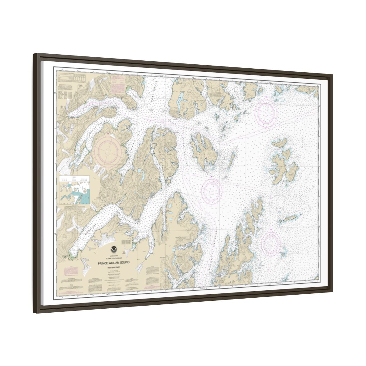 Chart 16705 Prince William Sound-western part - NOAA Nautical Chart Floating Frame Canvas | 30" x 20" | 36" x 24" | 48" x 32" - Espresso side