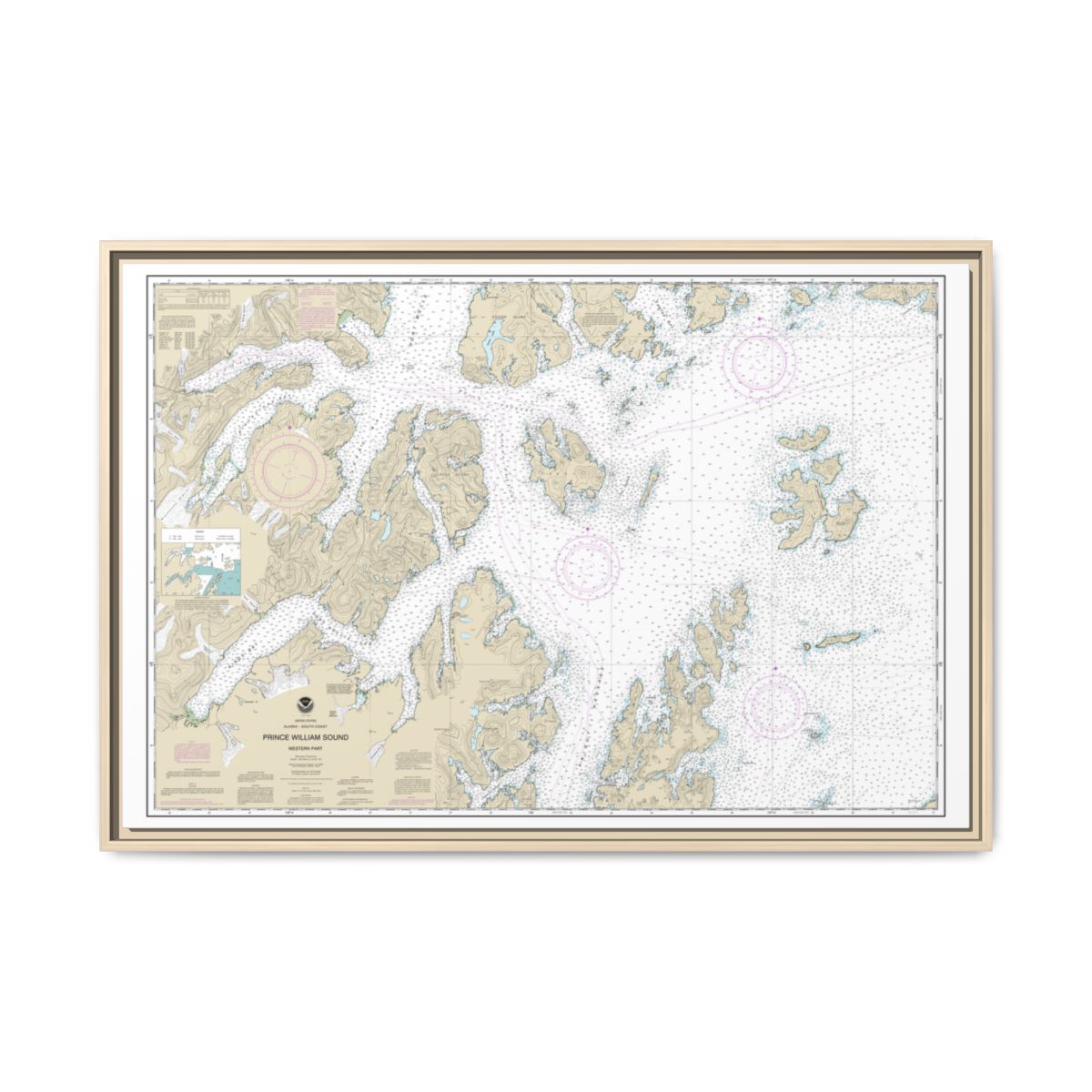 Chart 16705 Prince William Sound-western part - NOAA Nautical Chart Floating Frame Canvas | 30" x 20" | 36" x 24" | 48" x 32" - Natural front