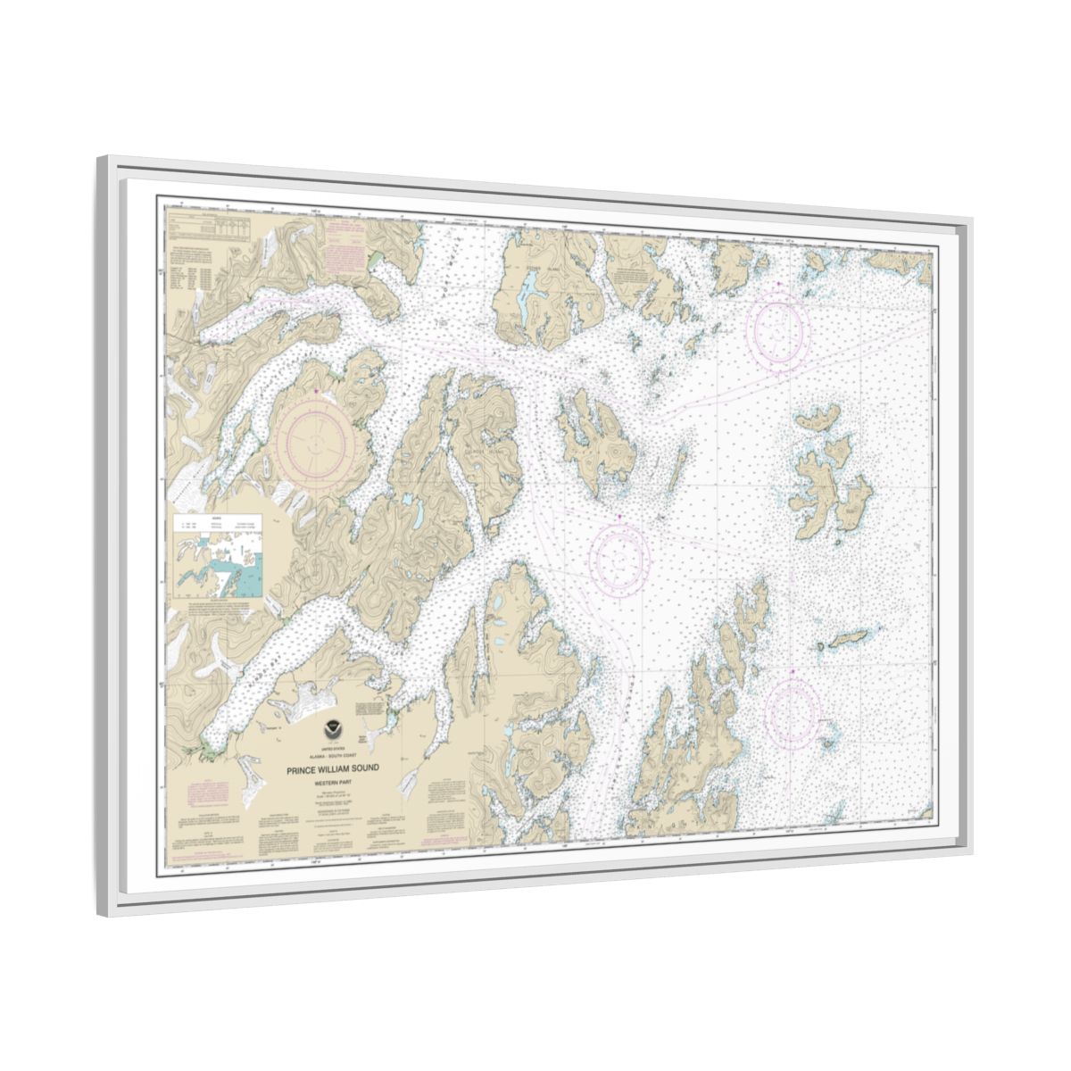 Chart 16705 Prince William Sound-western part - NOAA Nautical Chart Floating Frame Canvas | 30" x 20" | 36" x 24" | 48" x 32" - White side