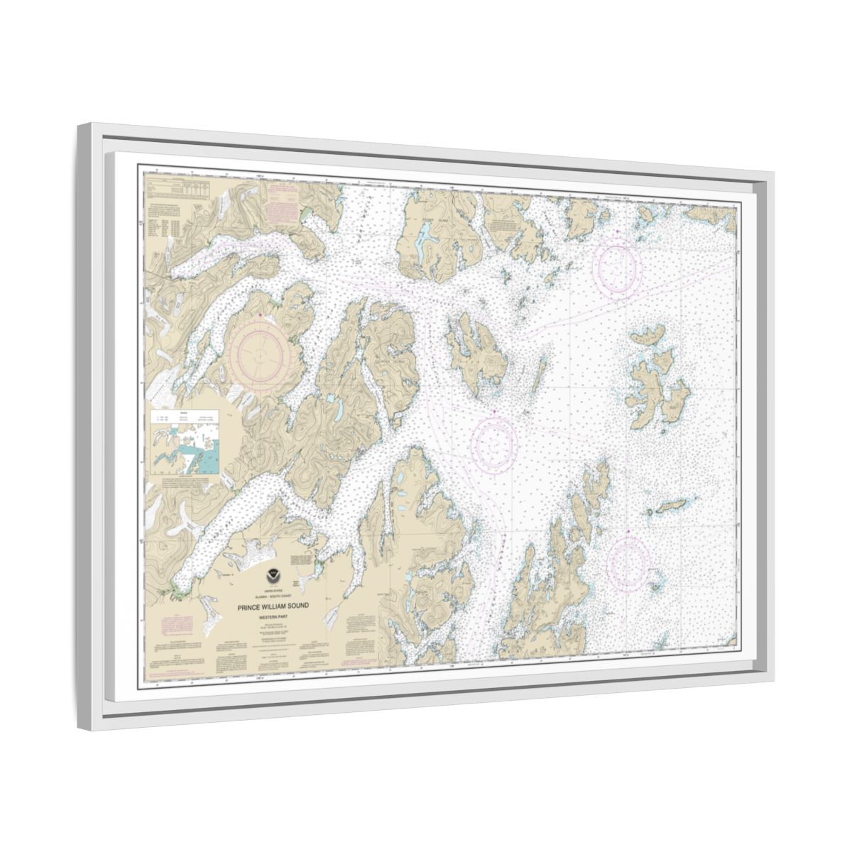 Chart 16705 Prince William Sound-western part - NOAA Nautical Chart Floating Frame Canvas | 30" x 20" | 36" x 24" | 48" x 32" - White side