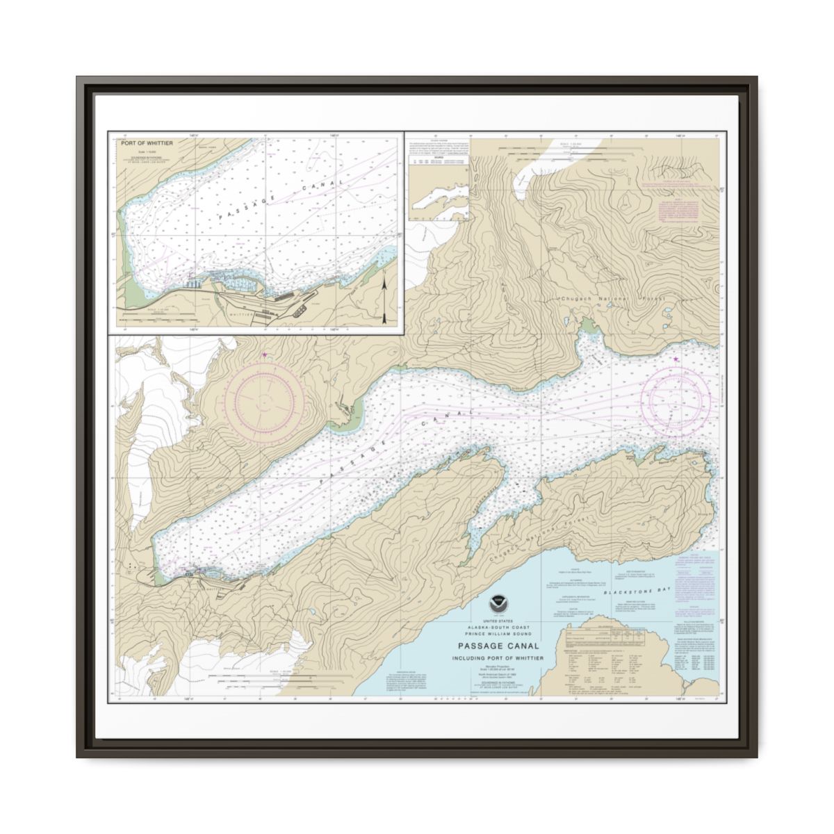 Chart 16706 Passage Canal incl. Port of Whittier;Port of Whittier - NOAA Nautical Chart Floating Frame Canvas | 32" x 32" - Espresso front