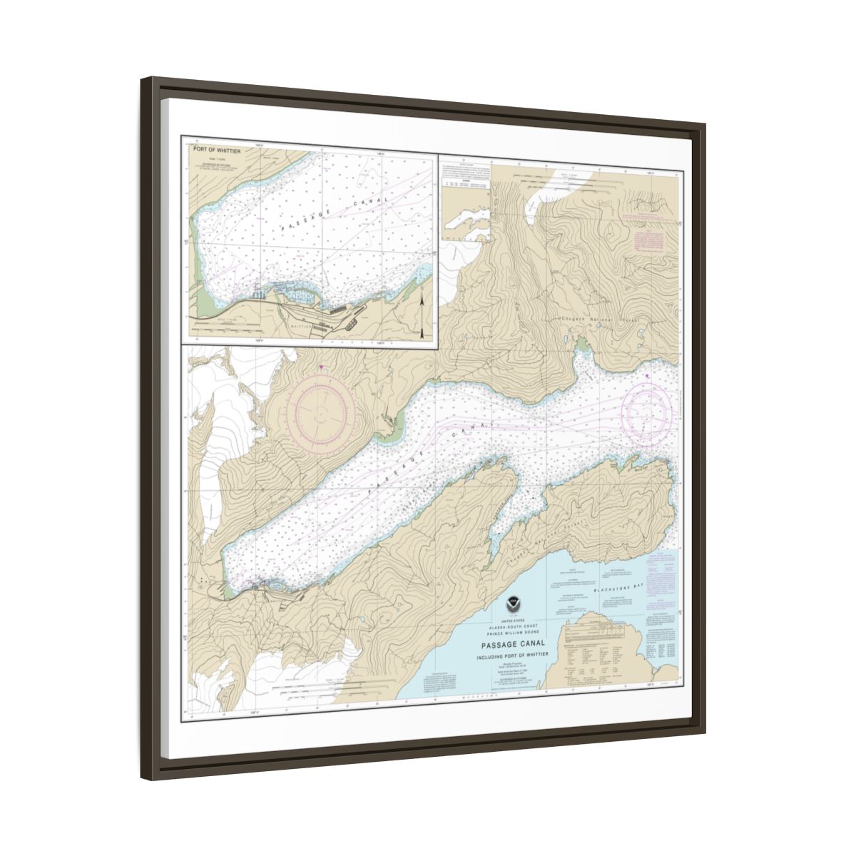 Chart 16706 Passage Canal incl. Port of Whittier;Port of Whittier - NOAA Nautical Chart Floating Frame Canvas | 32" x 32" - Espresso side