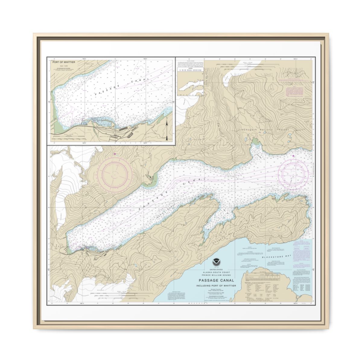 Chart 16706 Passage Canal incl. Port of Whittier;Port of Whittier - NOAA Nautical Chart Floating Frame Canvas | 32" x 32" - Natural front