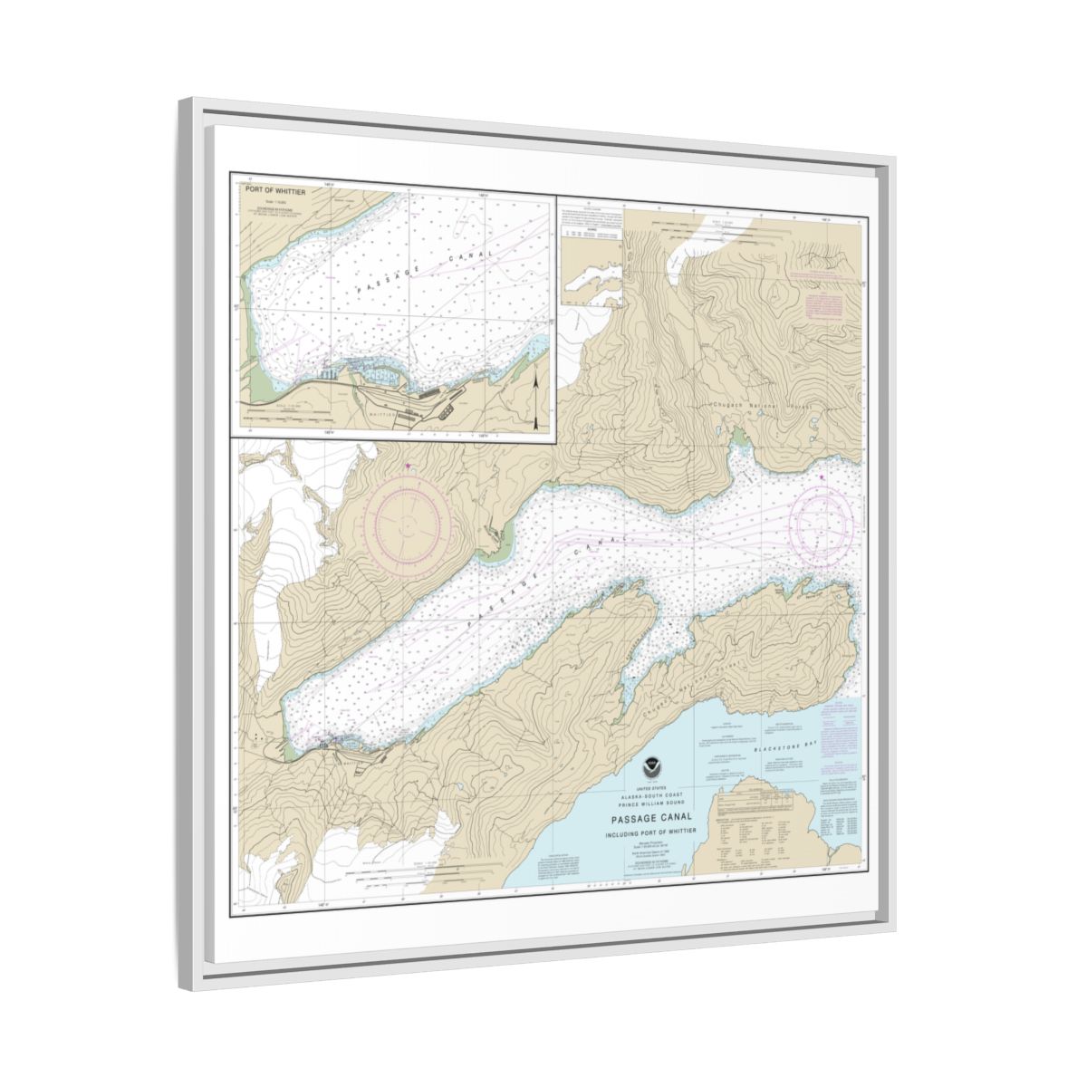 Chart 16706 Passage Canal incl. Port of Whittier;Port of Whittier - NOAA Nautical Chart Floating Frame Canvas | 32" x 32" - White side
