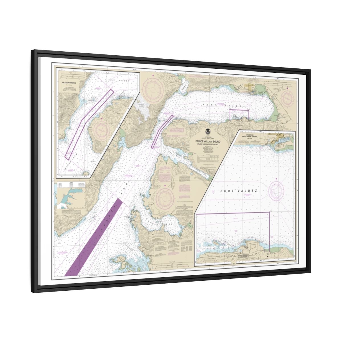 Chart 16707 Prince William Sound-Valdez Arm and Port Valdez;Valdez Narrows;Valdez and Valdez Marine Terminal - NOAA Nautical Chart Floating Frame Canvas | 30" x 20" | 36" x 24" | 48" x 32" - Black side