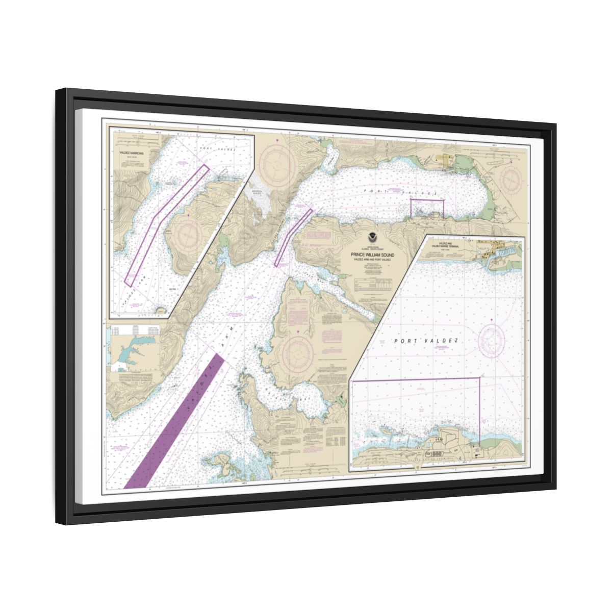 Chart 16707 Prince William Sound-Valdez Arm and Port Valdez;Valdez Narrows;Valdez and Valdez Marine Terminal - NOAA Nautical Chart Floating Frame Canvas | 30" x 20" | 36" x 24" | 48" x 32" - Black side