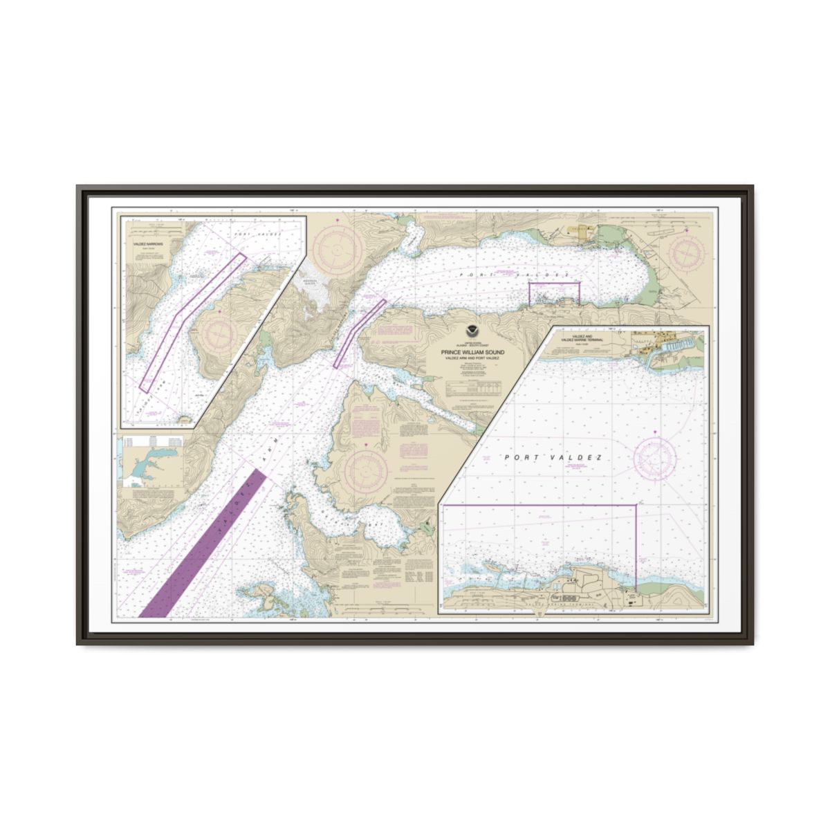 Chart 16707 Prince William Sound-Valdez Arm and Port Valdez;Valdez Narrows;Valdez and Valdez Marine Terminal - NOAA Nautical Chart Floating Frame Canvas | 30" x 20" | 36" x 24" | 48" x 32" - Espresso front