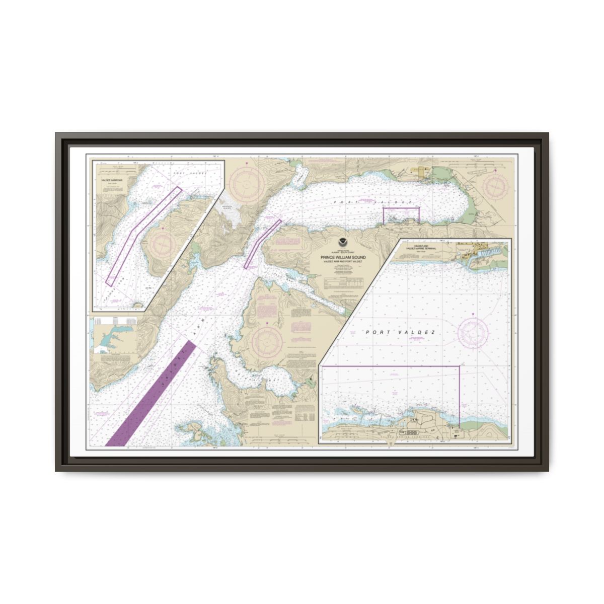 Chart 16707 Prince William Sound-Valdez Arm and Port Valdez;Valdez Narrows;Valdez and Valdez Marine Terminal - NOAA Nautical Chart Floating Frame Canvas | 30" x 20" | 36" x 24" | 48" x 32" - Espresso front