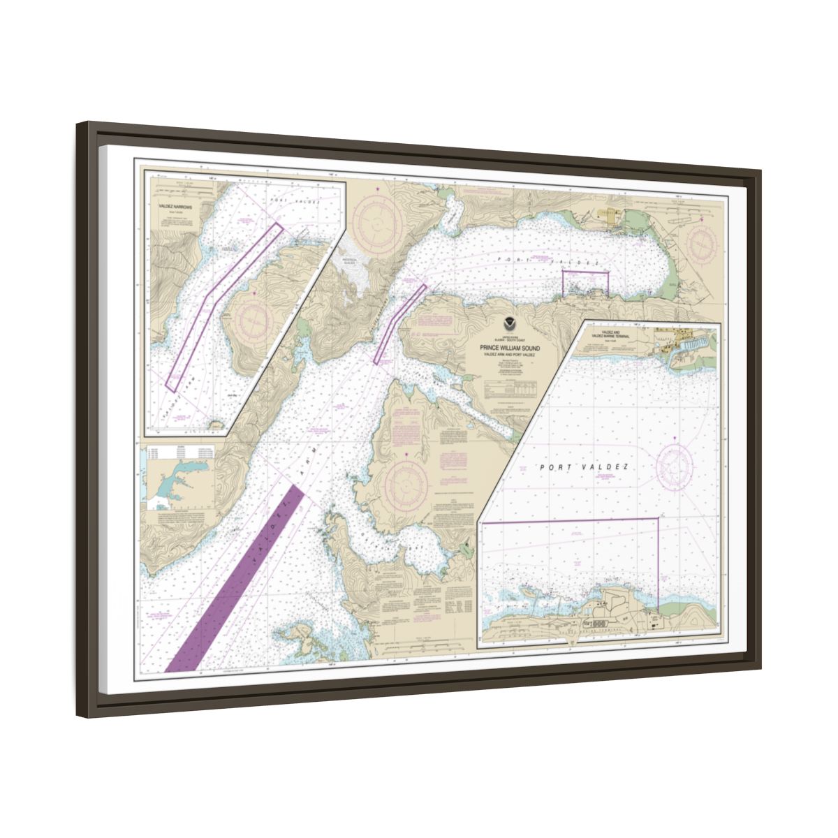 Chart 16707 Prince William Sound-Valdez Arm and Port Valdez;Valdez Narrows;Valdez and Valdez Marine Terminal - NOAA Nautical Chart Floating Frame Canvas | 30" x 20" | 36" x 24" | 48" x 32" - Espresso side
