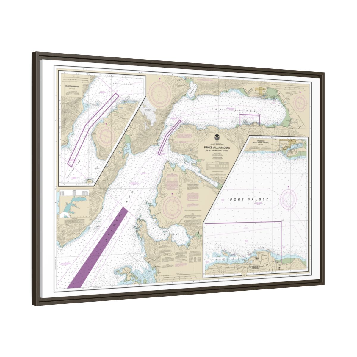 Chart 16707 Prince William Sound-Valdez Arm and Port Valdez;Valdez Narrows;Valdez and Valdez Marine Terminal - NOAA Nautical Chart Floating Frame Canvas | 30" x 20" | 36" x 24" | 48" x 32" - Espresso side