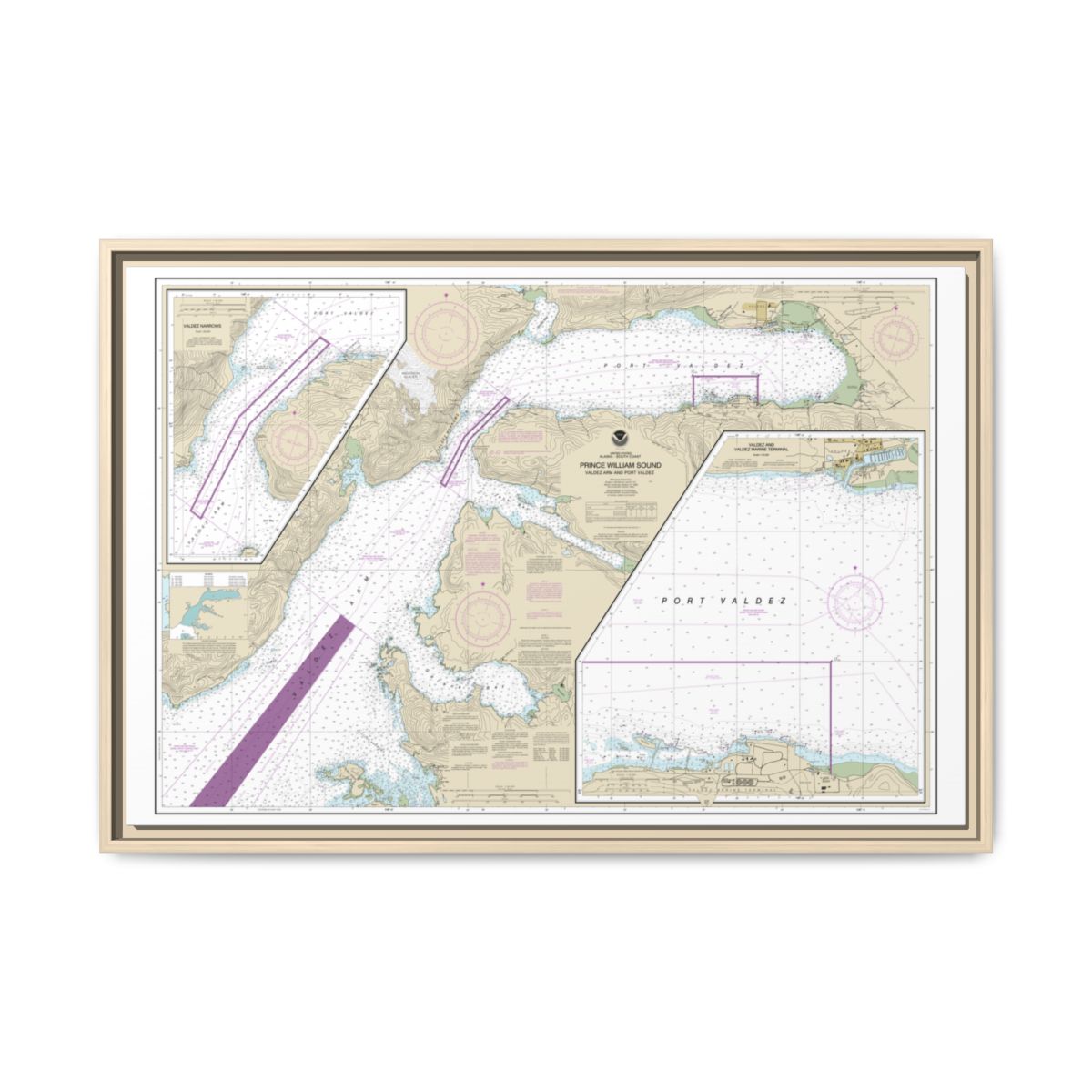 Chart 16707 Prince William Sound-Valdez Arm and Port Valdez;Valdez Narrows;Valdez and Valdez Marine Terminal - NOAA Nautical Chart Floating Frame Canvas | 30" x 20" | 36" x 24" | 48" x 32" - Natural front