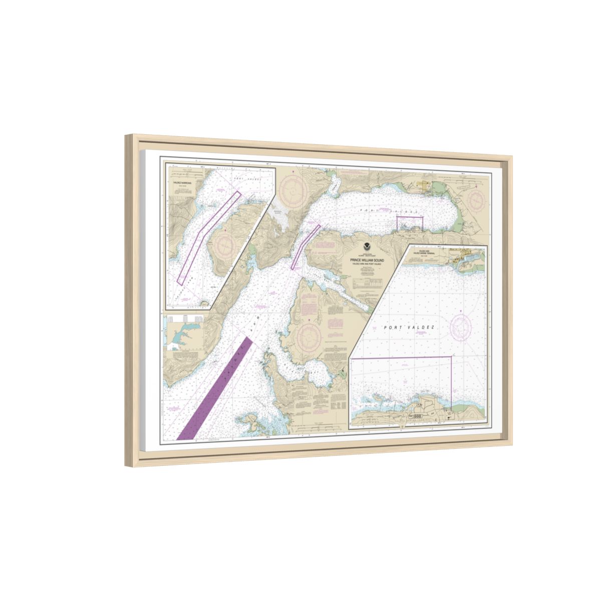 Chart 16707 Prince William Sound-Valdez Arm and Port Valdez;Valdez Narrows;Valdez and Valdez Marine Terminal - NOAA Nautical Chart Floating Frame Canvas | 30" x 20" | 36" x 24" | 48" x 32" - Natural side