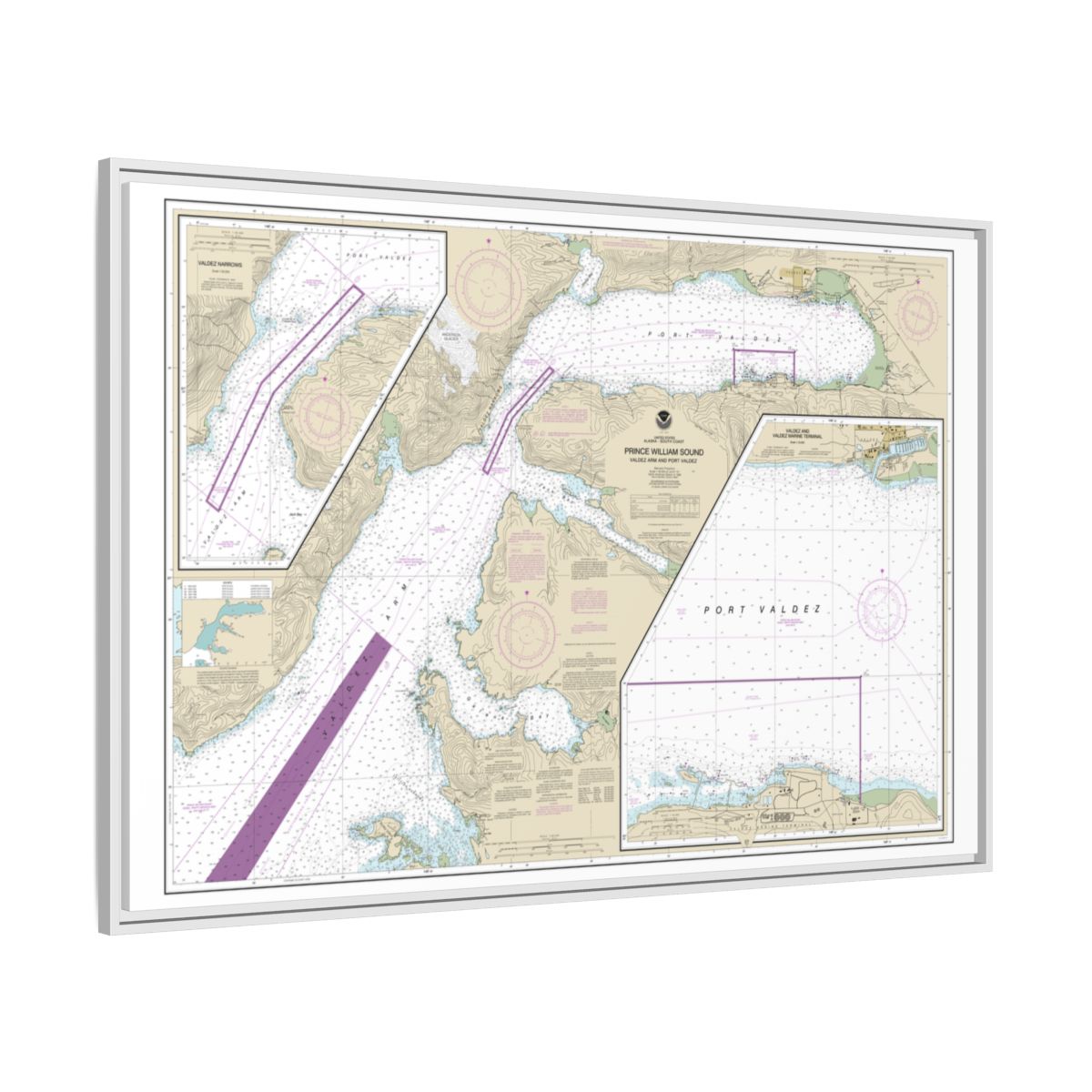 Chart 16707 Prince William Sound-Valdez Arm and Port Valdez;Valdez Narrows;Valdez and Valdez Marine Terminal - NOAA Nautical Chart Floating Frame Canvas | 30" x 20" | 36" x 24" | 48" x 32" - White side