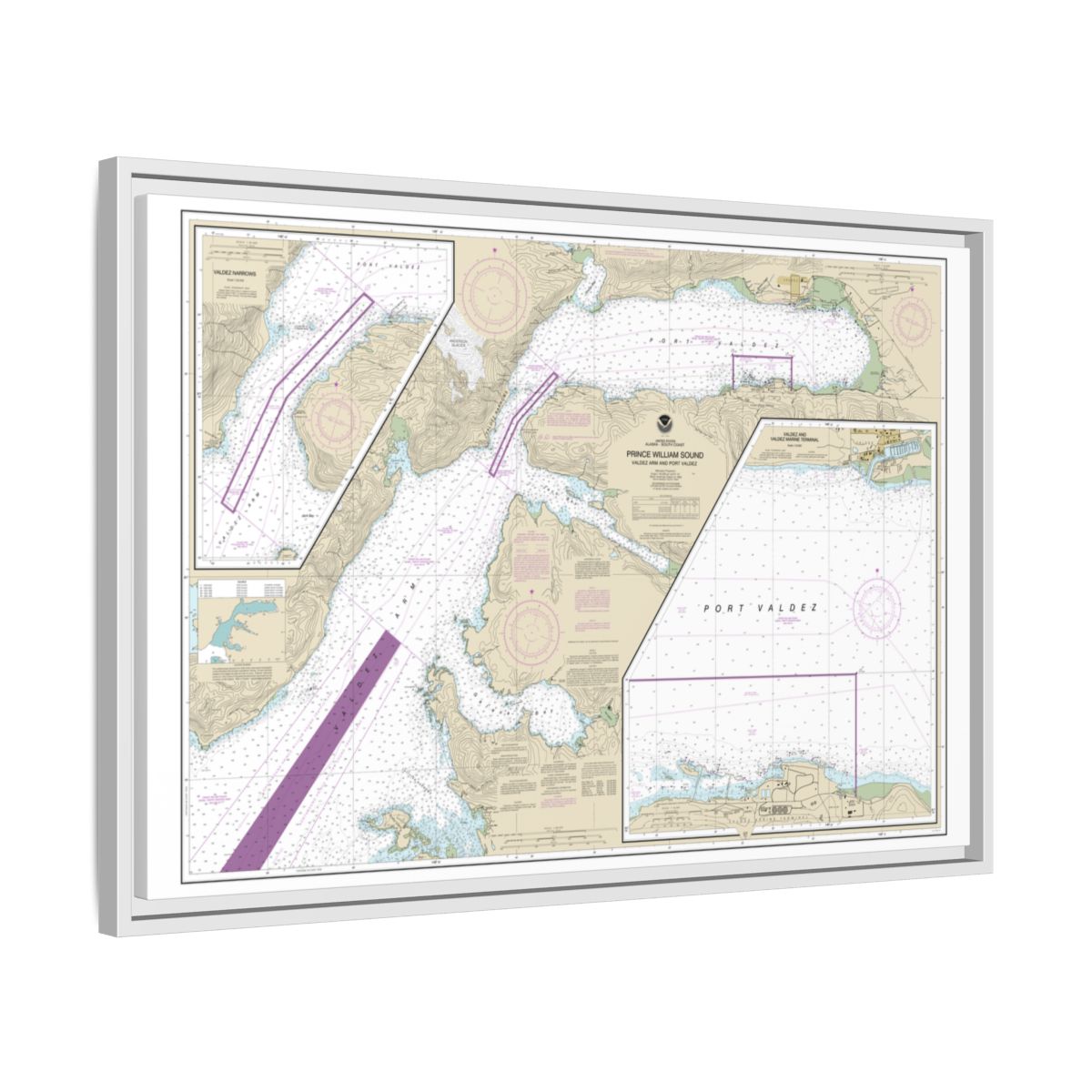 Chart 16707 Prince William Sound-Valdez Arm and Port Valdez;Valdez Narrows;Valdez and Valdez Marine Terminal - NOAA Nautical Chart Floating Frame Canvas | 30" x 20" | 36" x 24" | 48" x 32" - White side