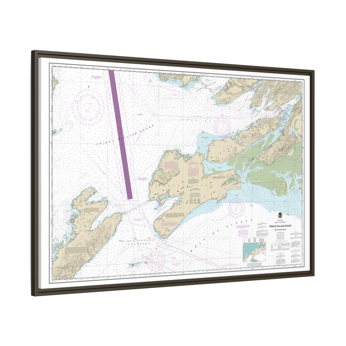 Chart 16709 Prince William Sound-eastern entrance - NOAA Nautical Chart Floating Frame Canvas | 30" x 20" | 36" x 24" | 48" x 32" - Espresso side