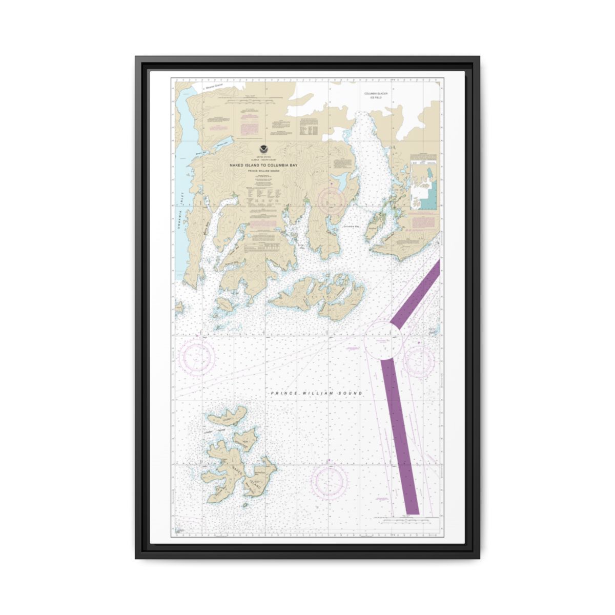 Chart 16713 Naked Island to Columbia Bay - NOAA Nautical Chart Floating Frame Canvas | 20" x 30" | 24" x 36" | 32" x 48" - Black front