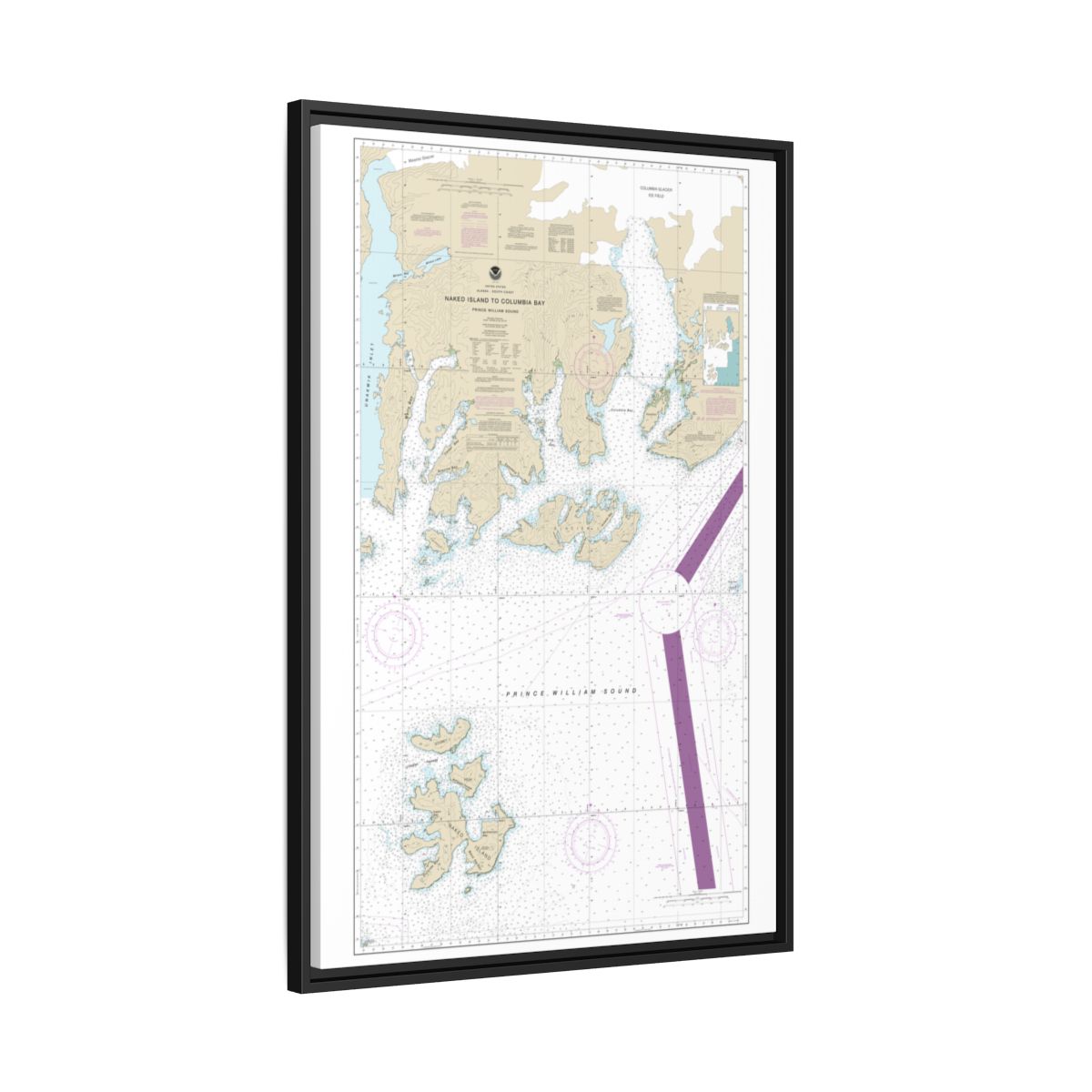 Chart 16713 Naked Island to Columbia Bay - NOAA Nautical Chart Floating Frame Canvas | 20" x 30" | 24" x 36" | 32" x 48" - Black side