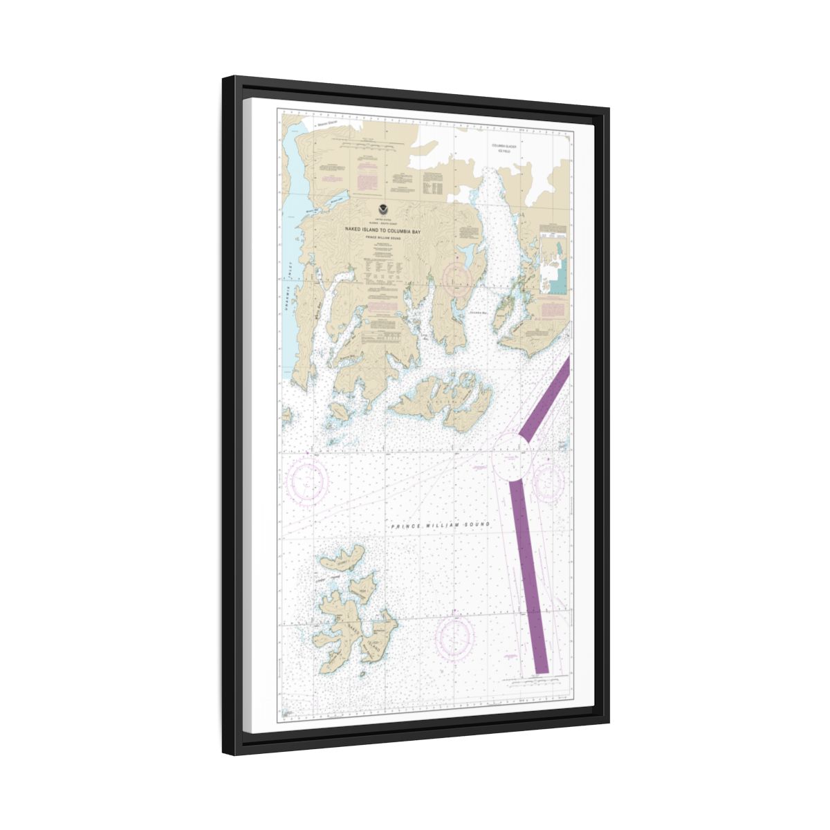 Chart 16713 Naked Island to Columbia Bay - NOAA Nautical Chart Floating Frame Canvas | 20" x 30" | 24" x 36" | 32" x 48" - Black side
