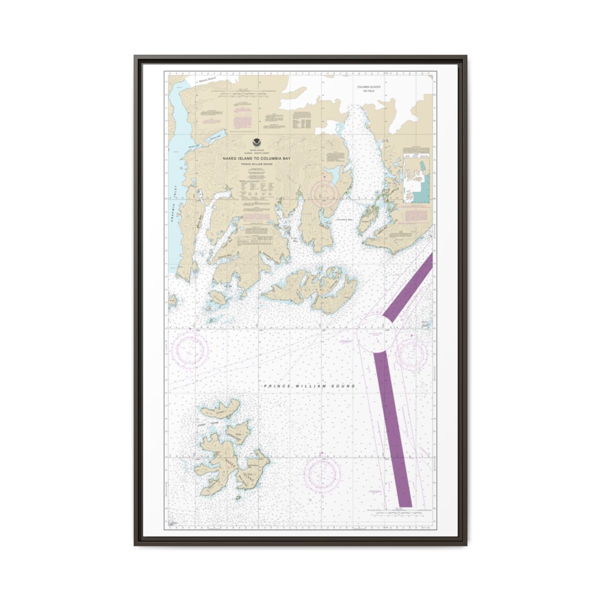 Chart 16713 Naked Island to Columbia Bay - NOAA Nautical Chart Floating Frame Canvas | 20" x 30" | 24" x 36" | 32" x 48" - Espresso front