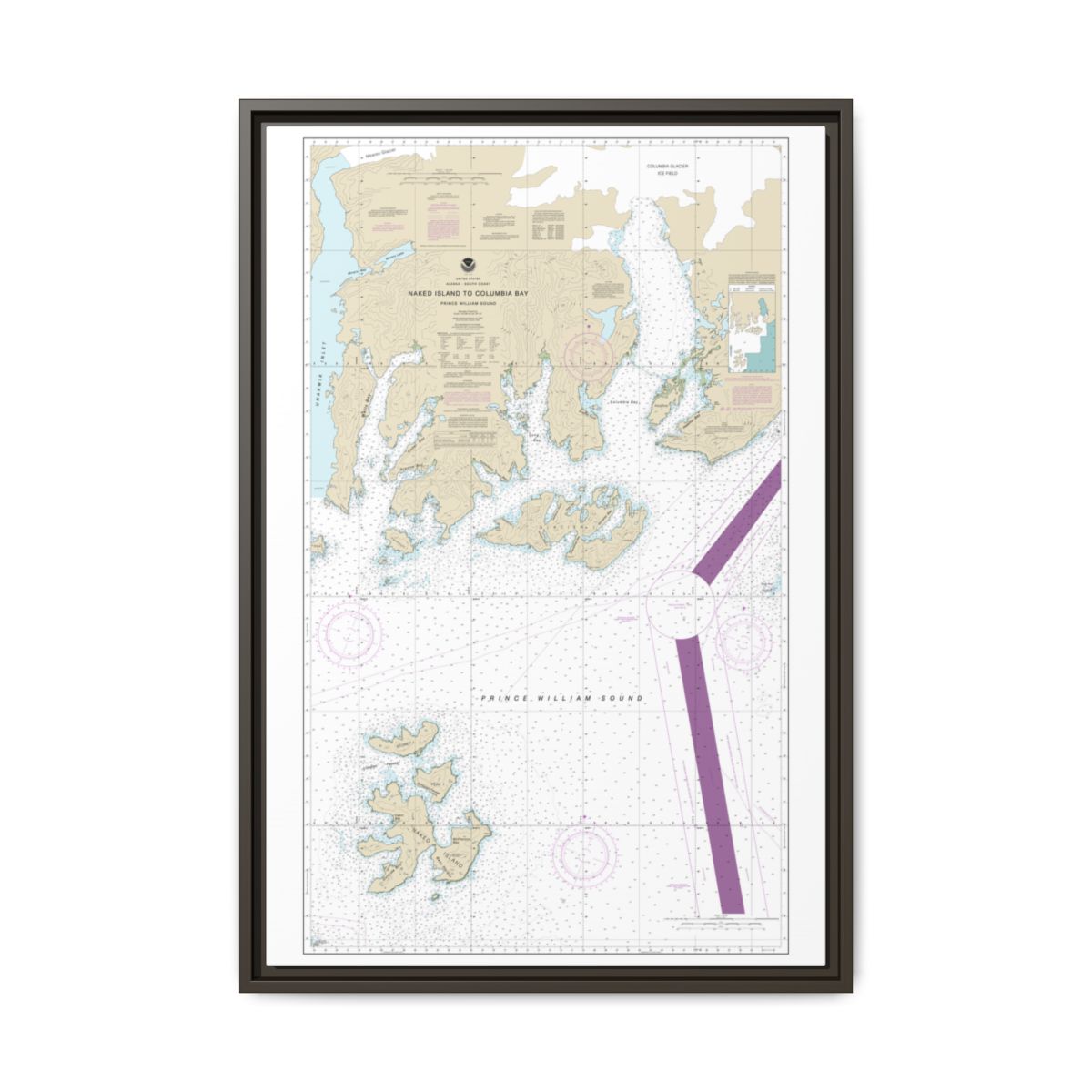 Chart 16713 Naked Island to Columbia Bay - NOAA Nautical Chart Floating Frame Canvas | 20" x 30" | 24" x 36" | 32" x 48" - Espresso front