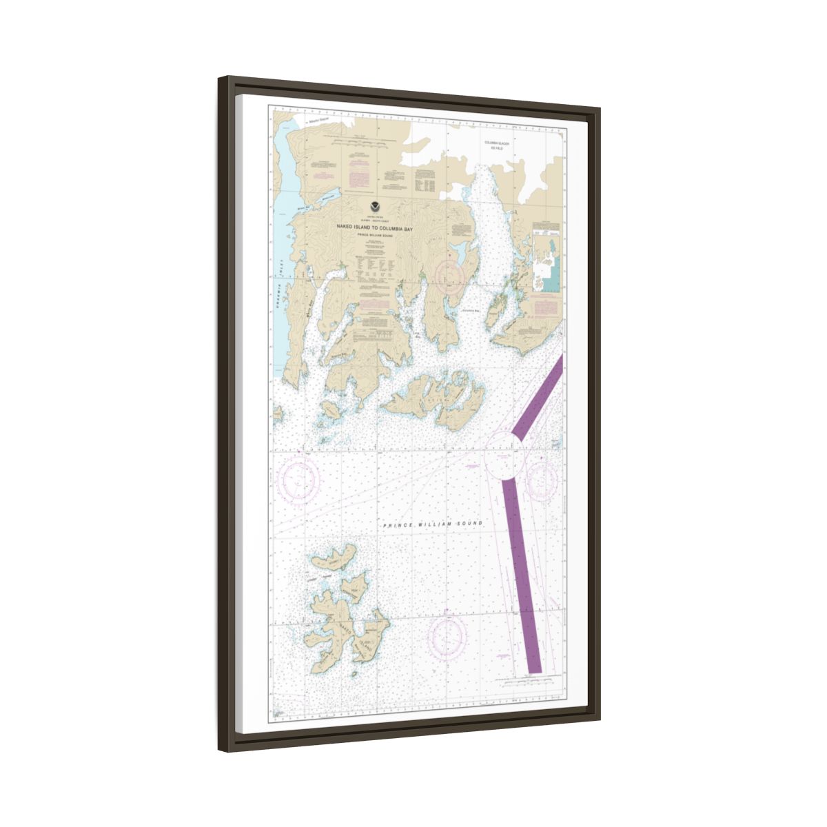 Chart 16713 Naked Island to Columbia Bay - NOAA Nautical Chart Floating Frame Canvas | 20" x 30" | 24" x 36" | 32" x 48" - Espresso side