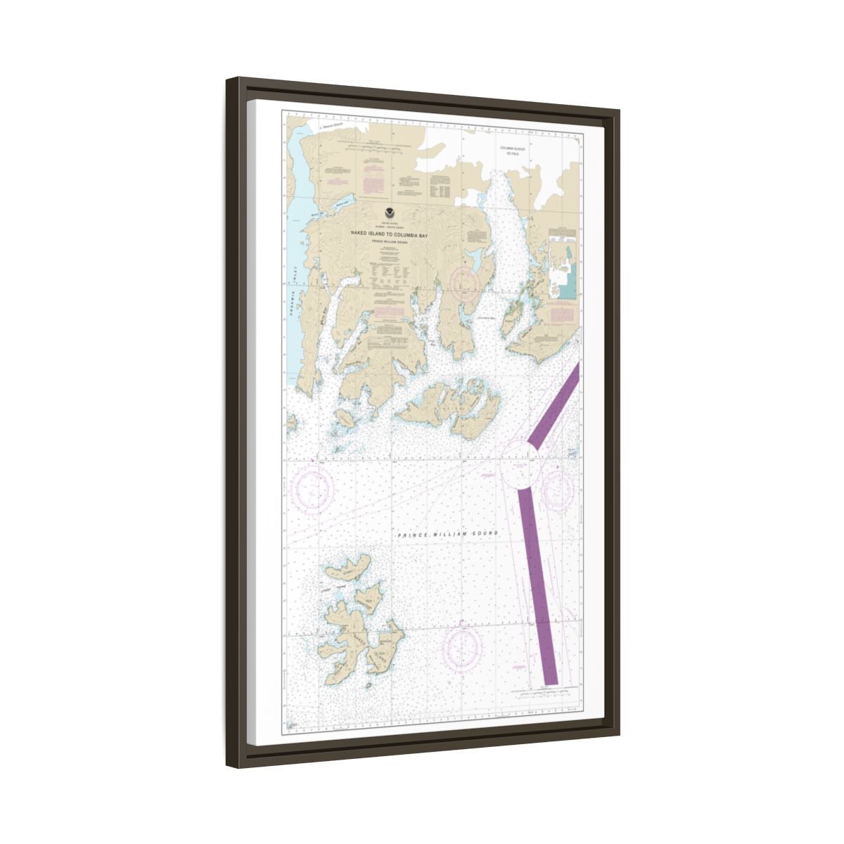 Chart 16713 Naked Island to Columbia Bay - NOAA Nautical Chart Floating Frame Canvas | 20" x 30" | 24" x 36" | 32" x 48" - Espresso side