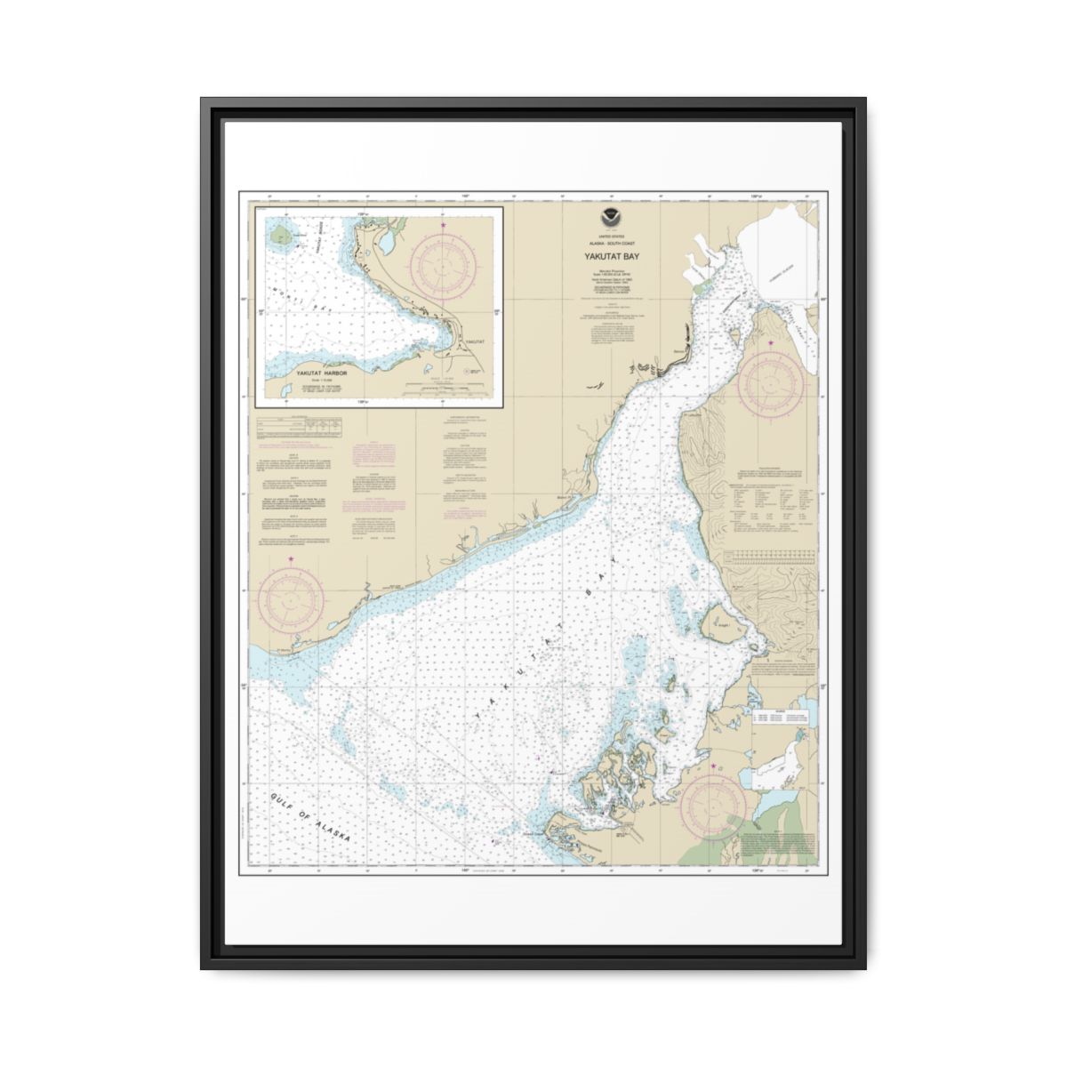 Chart 16761 Yakutat Bay;Yakutat Harbor - NOAA Nautical Chart Floating Frame Canvas | 24" x 32" | 30" x 40" - Black front