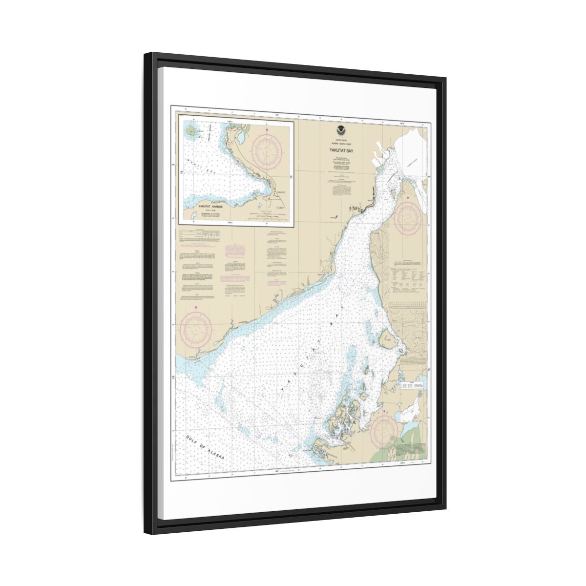 Chart 16761 Yakutat Bay;Yakutat Harbor - NOAA Nautical Chart Floating Frame Canvas | 24" x 32" | 30" x 40" - Black side