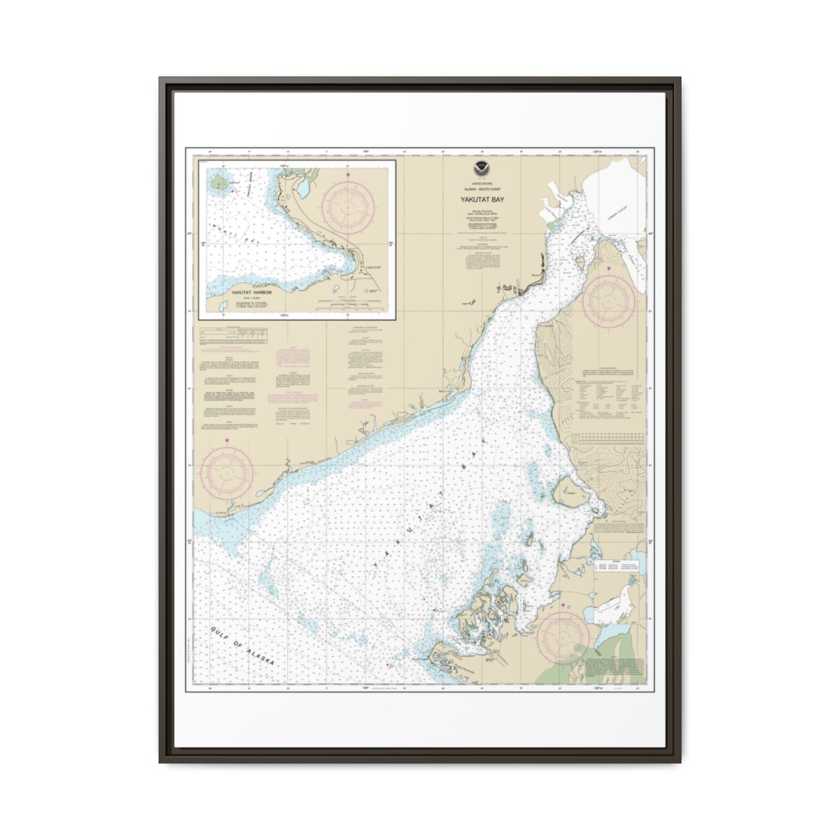 Chart 16761 Yakutat Bay;Yakutat Harbor - NOAA Nautical Chart Floating Frame Canvas | 24" x 32" | 30" x 40" - Espresso front