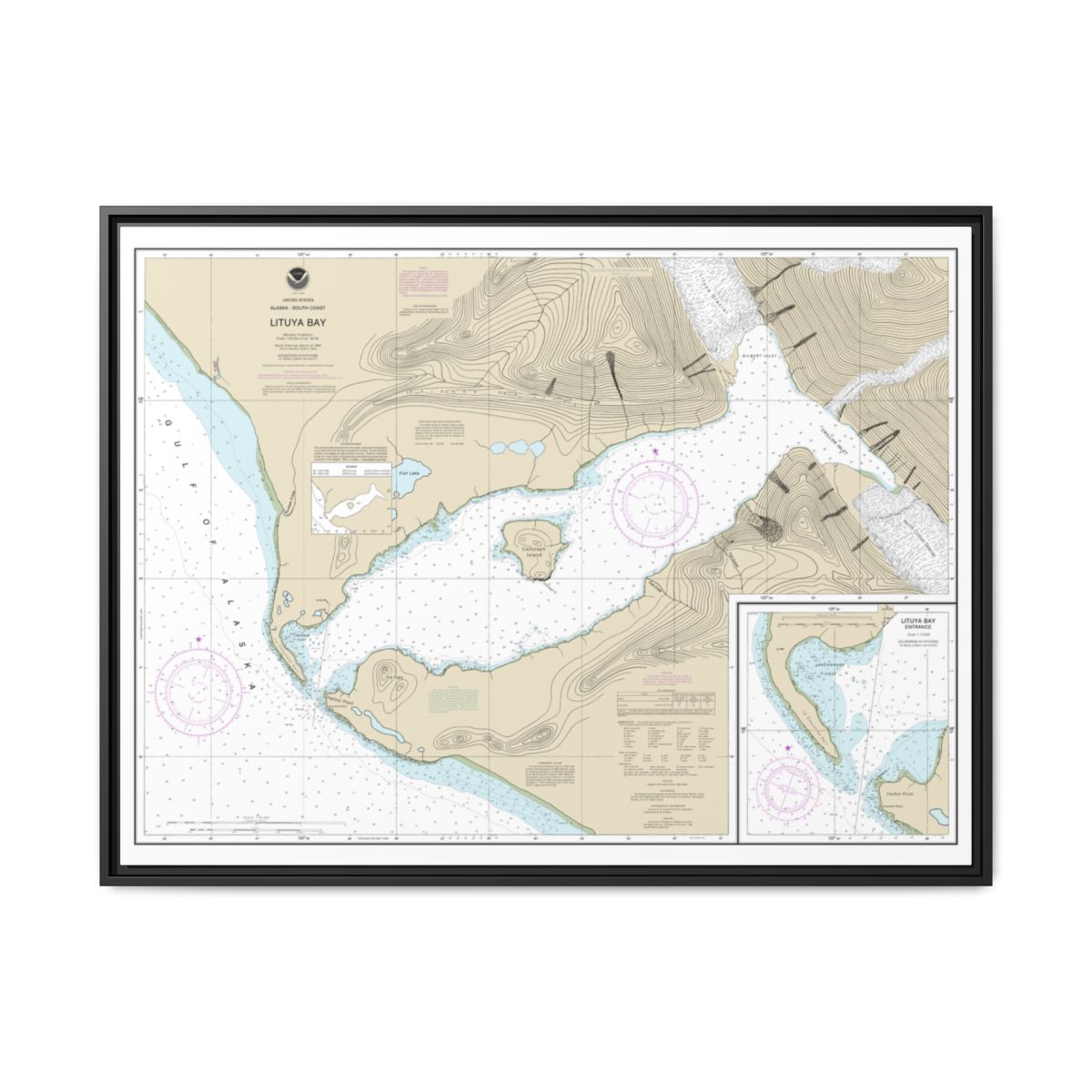 Chart 16762 Lituya Bay;Lituya Bay Entrance - NOAA Nautical Chart Floating Frame Canvas | 32" x 24" | 40" x 30" - Black front