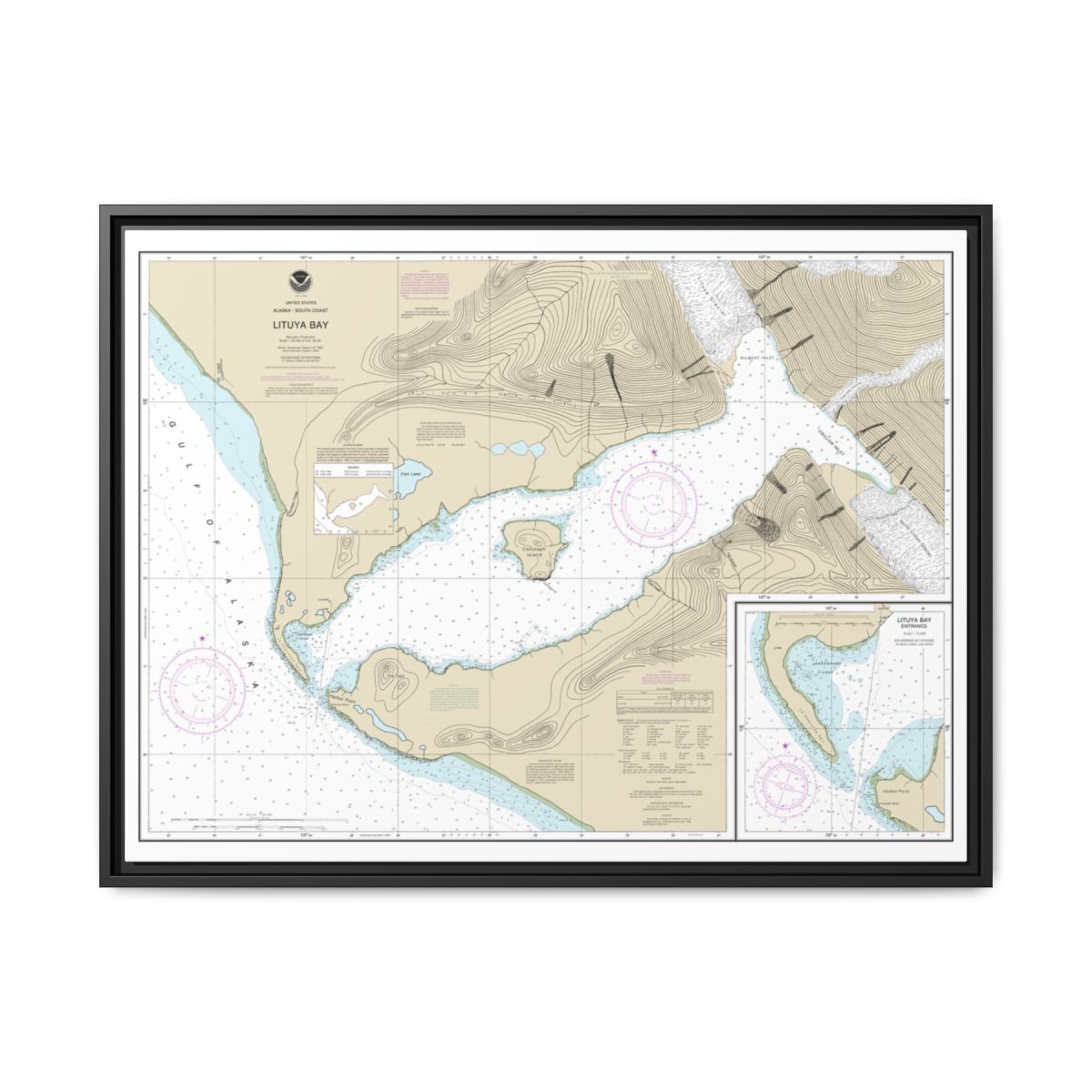 Chart 16762 Lituya Bay;Lituya Bay Entrance - NOAA Nautical Chart Floating Frame Canvas | 32" x 24" | 40" x 30" - Black front