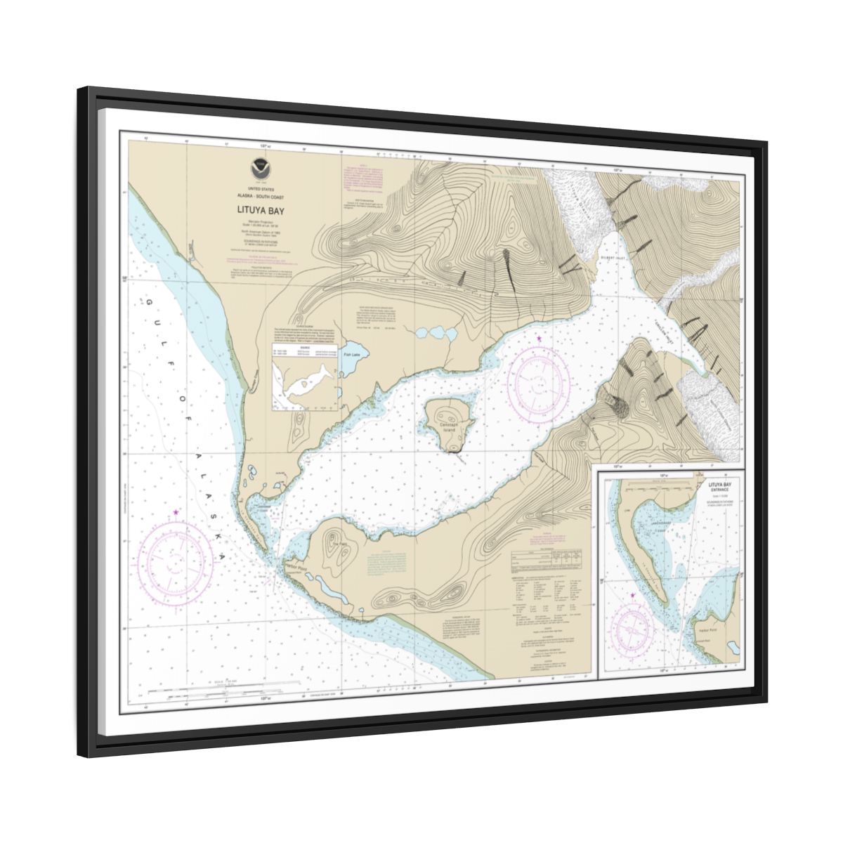 Chart 16762 Lituya Bay;Lituya Bay Entrance - NOAA Nautical Chart Floating Frame Canvas | 32" x 24" | 40" x 30" - Black side