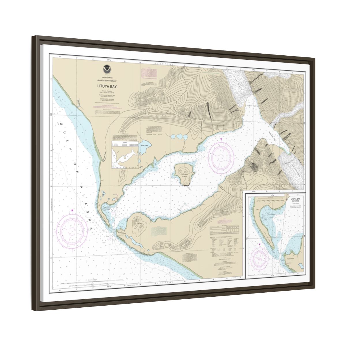 Chart 16762 Lituya Bay;Lituya Bay Entrance - NOAA Nautical Chart Floating Frame Canvas | 32" x 24" | 40" x 30" - Espresso side
