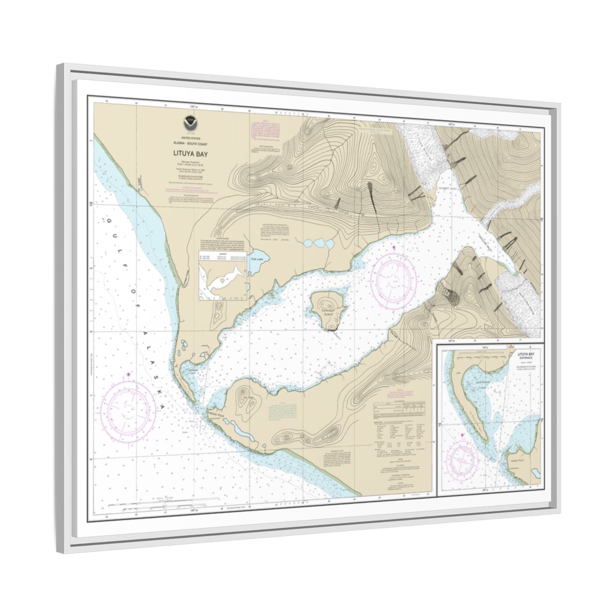 Chart 16762 Lituya Bay;Lituya Bay Entrance - NOAA Nautical Chart Floating Frame Canvas | 32" x 24" | 40" x 30" - White side