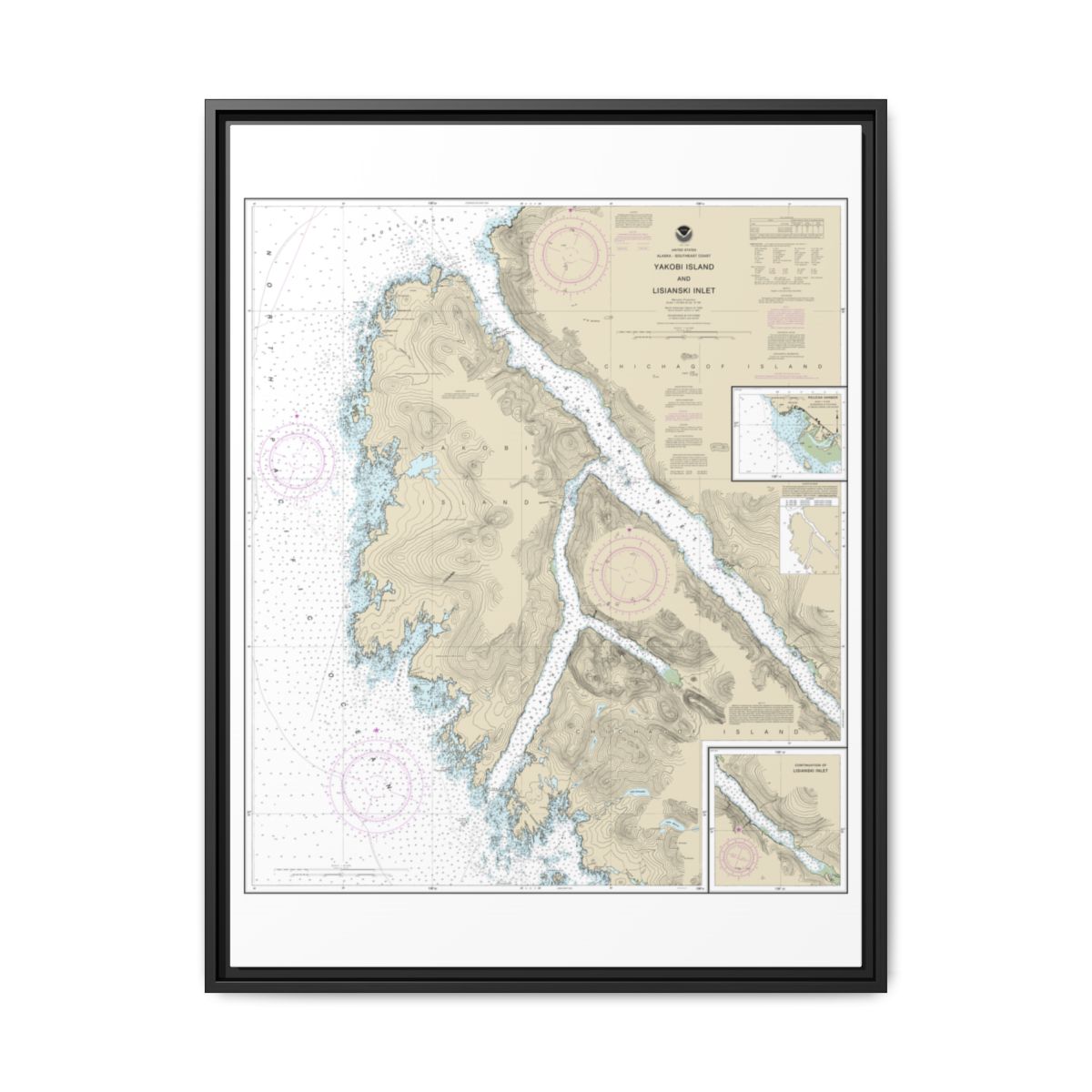 Chart 17303 Yakobi Island and Lisianski Inlet;Pelican Harbor - NOAA Nautical Chart Floating Frame Canvas | 24" x 32" | 30" x 40" - Black front
