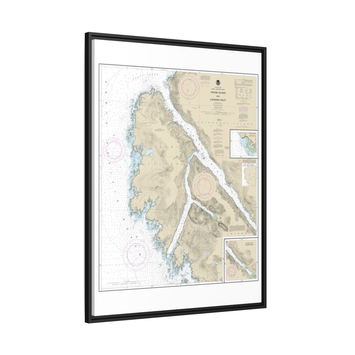 Chart 17303 Yakobi Island and Lisianski Inlet;Pelican Harbor - NOAA Nautical Chart Floating Frame Canvas | 24" x 32" | 30" x 40" - Black side