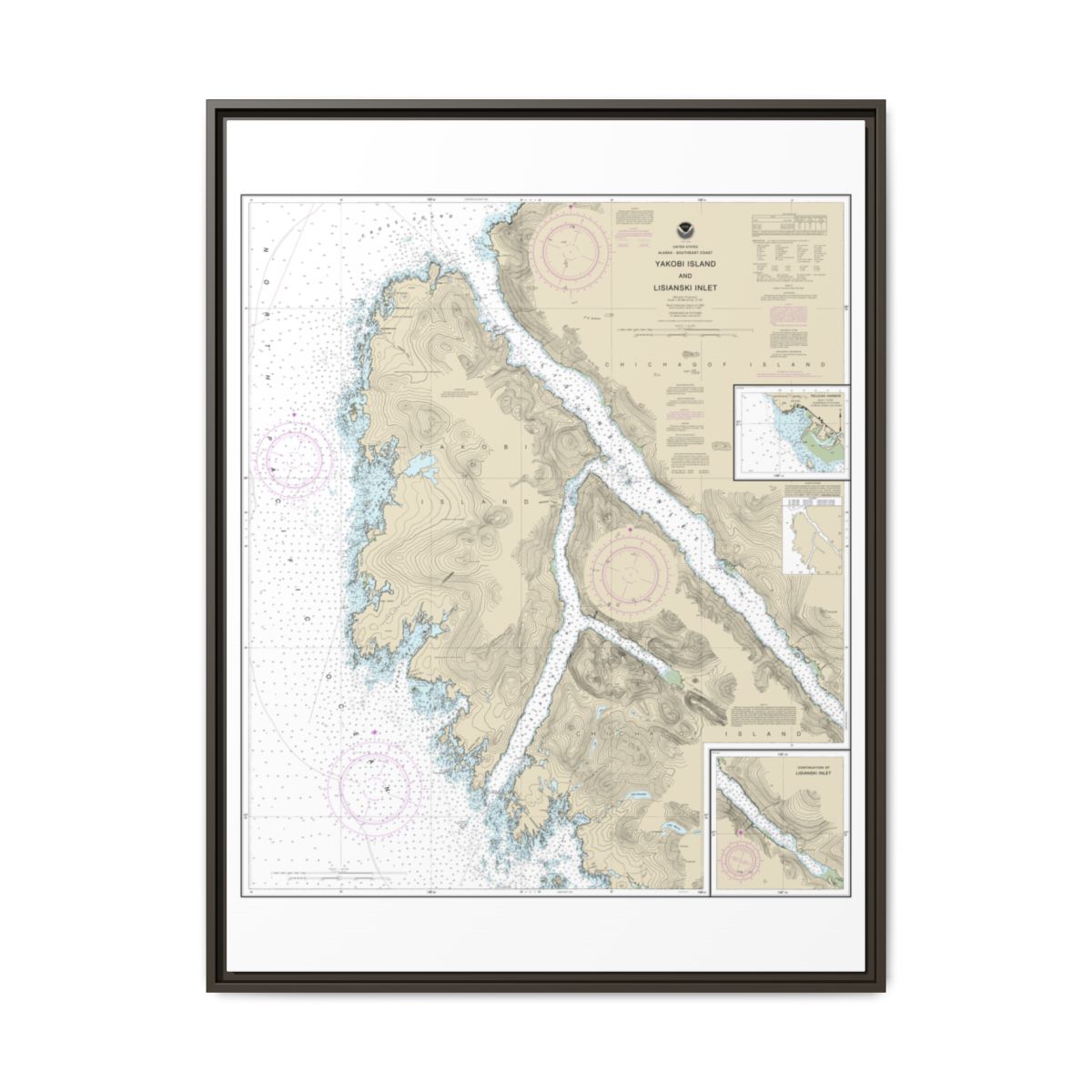 Chart 17303 Yakobi Island and Lisianski Inlet;Pelican Harbor - NOAA Nautical Chart Floating Frame Canvas | 24" x 32" | 30" x 40" - Espresso front