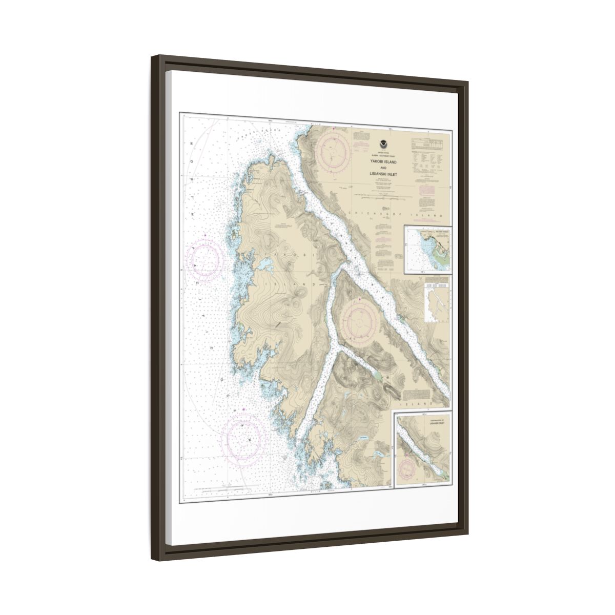 Chart 17303 Yakobi Island and Lisianski Inlet;Pelican Harbor - NOAA Nautical Chart Floating Frame Canvas | 24" x 32" | 30" x 40" - Espresso side